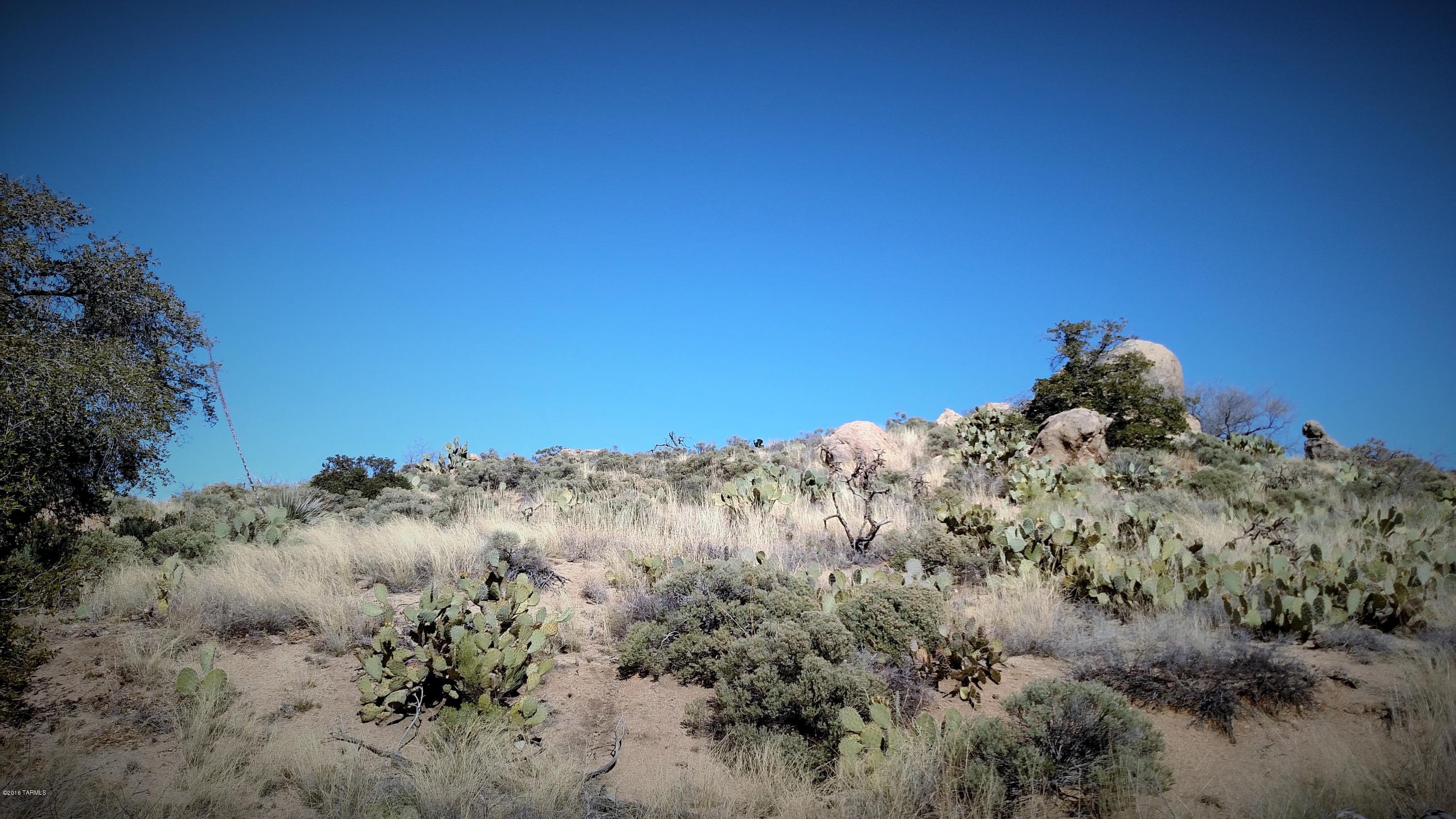 1224 W Hackberry Way Unit: 0