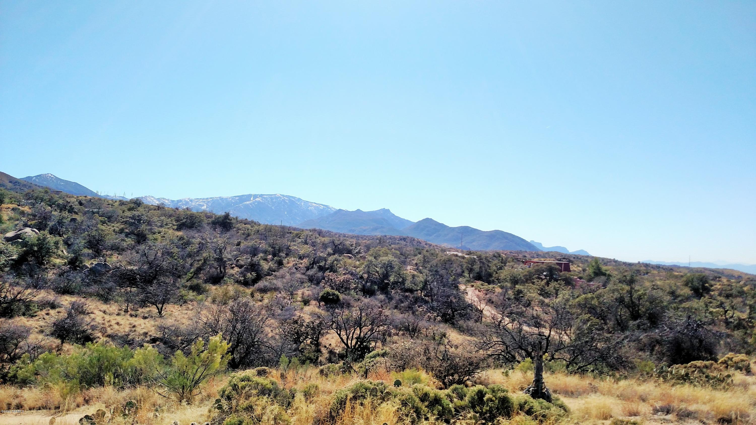 1224 W Hackberry Way Unit: 0