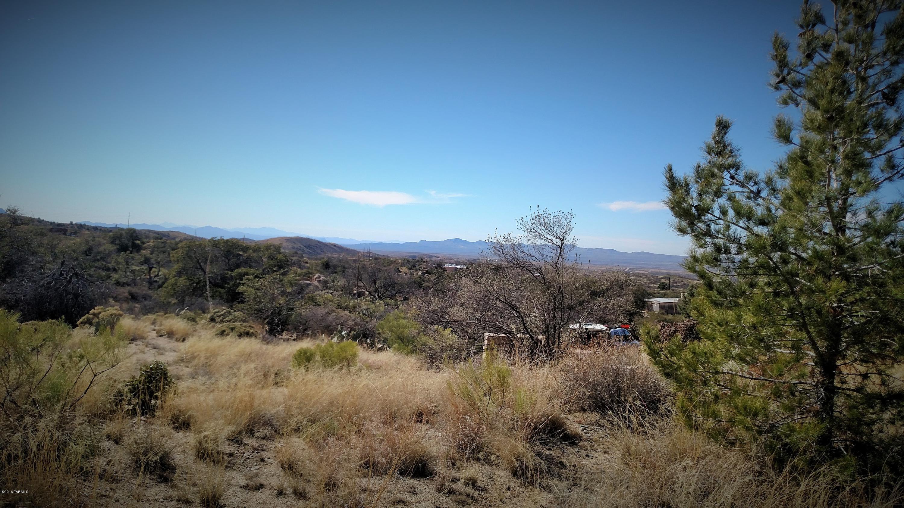 1224 W Hackberry Way Unit: 0