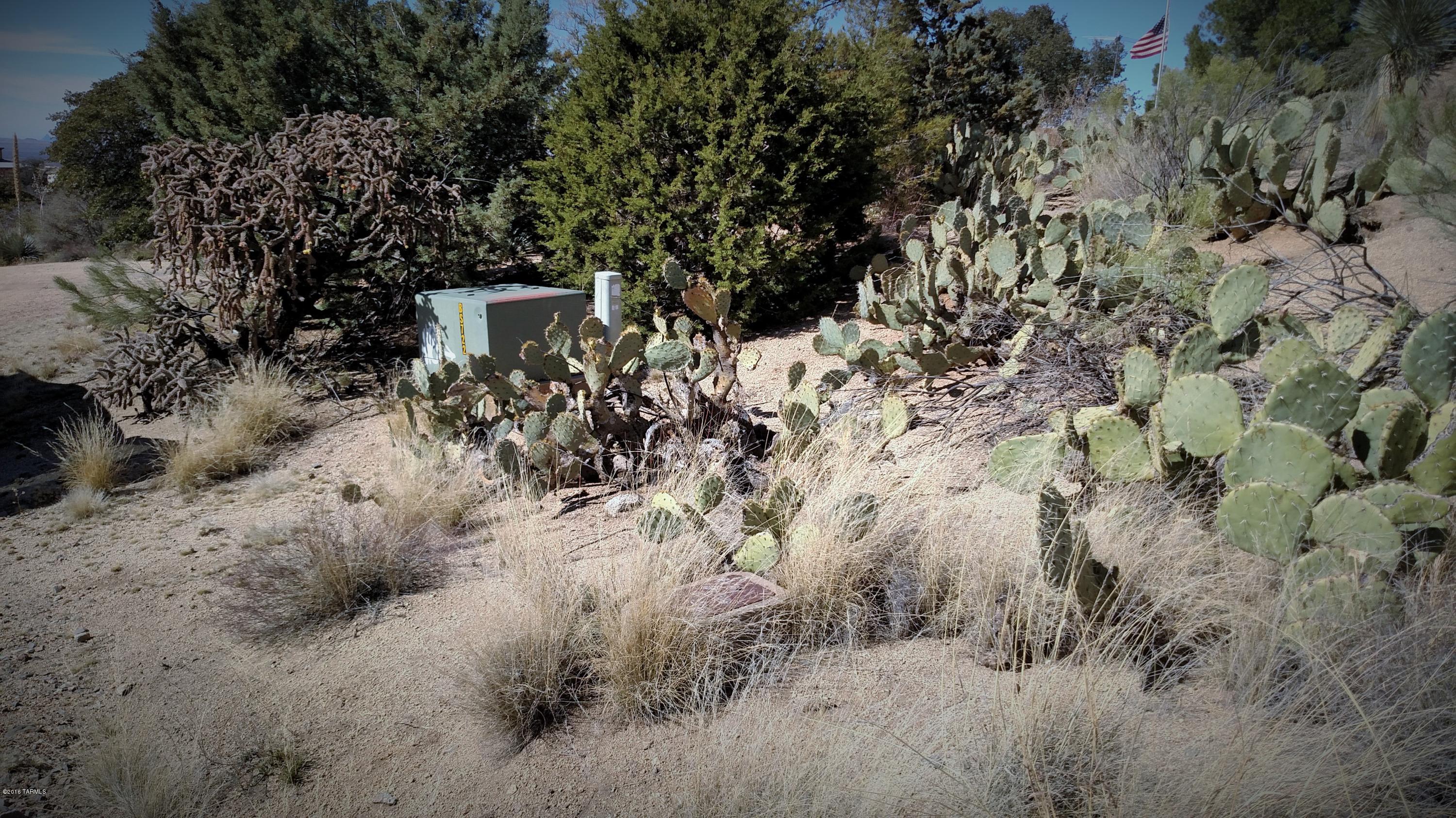 1224 W Hackberry Way Unit: 0