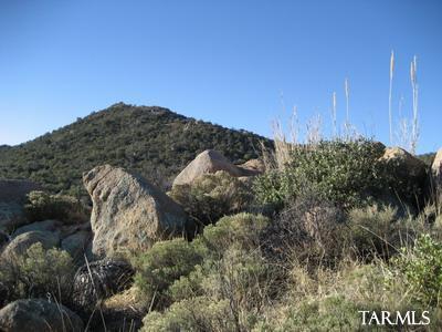 0 S Coronado Ridge Road Unit: 3.7acres