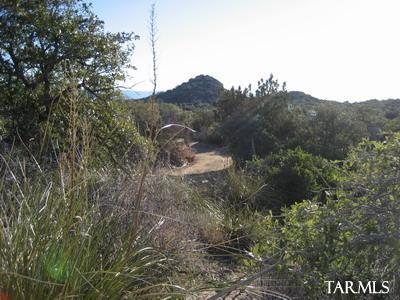 0 S Coronado Ridge Road Unit: 3.7acres