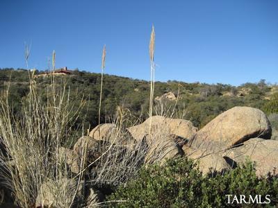 0 S Coronado Ridge Road Unit: 3.7acres