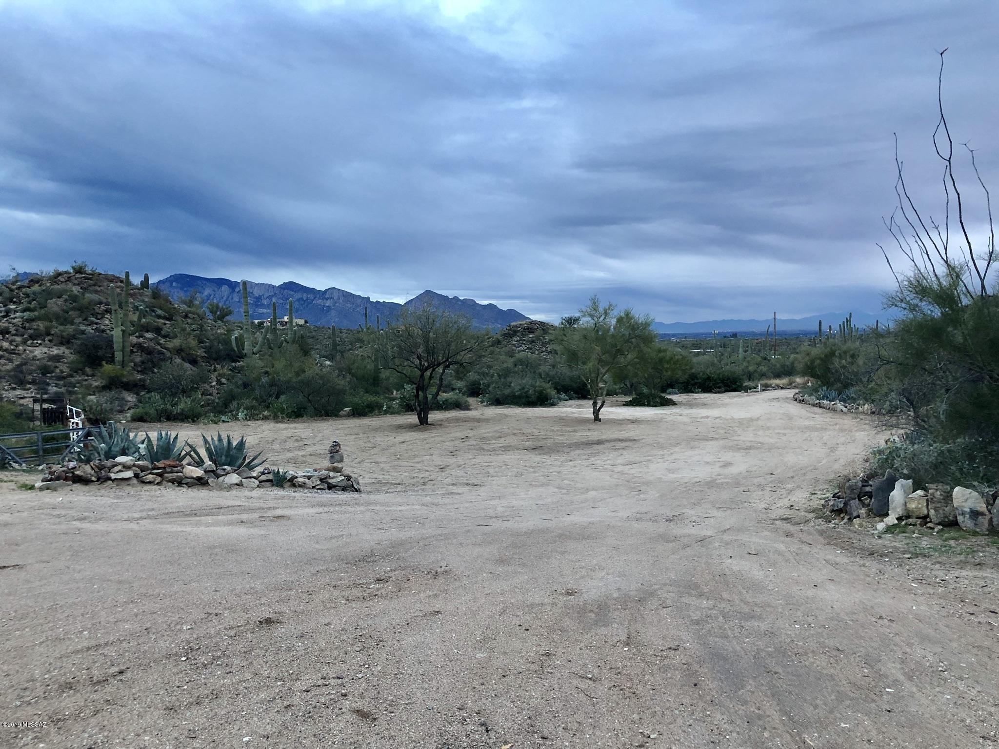 14020 N Gecko Canyon Trail