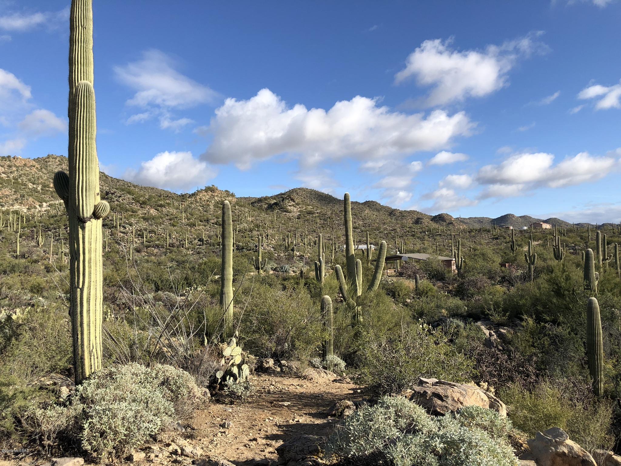 14020 N Gecko Canyon Trail
