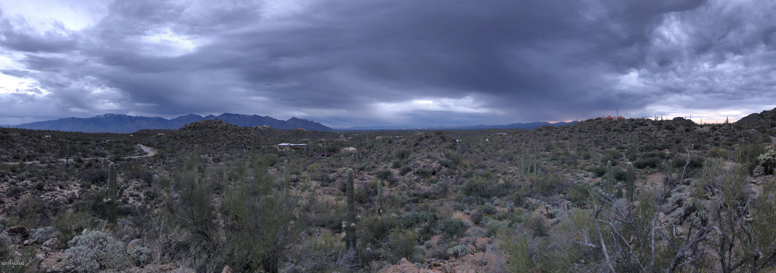 14020 N Gecko Canyon Trail
