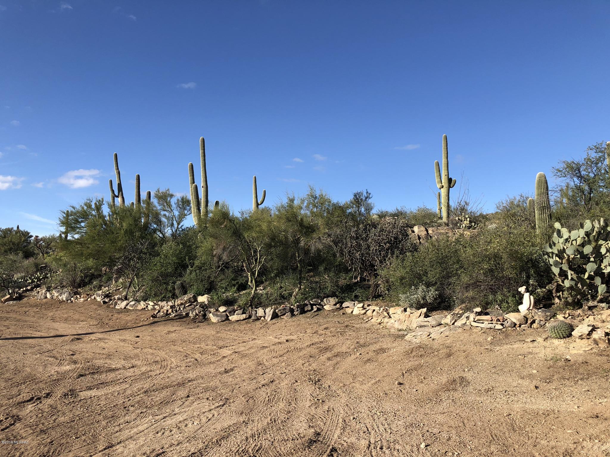14020 N Gecko Canyon Trail