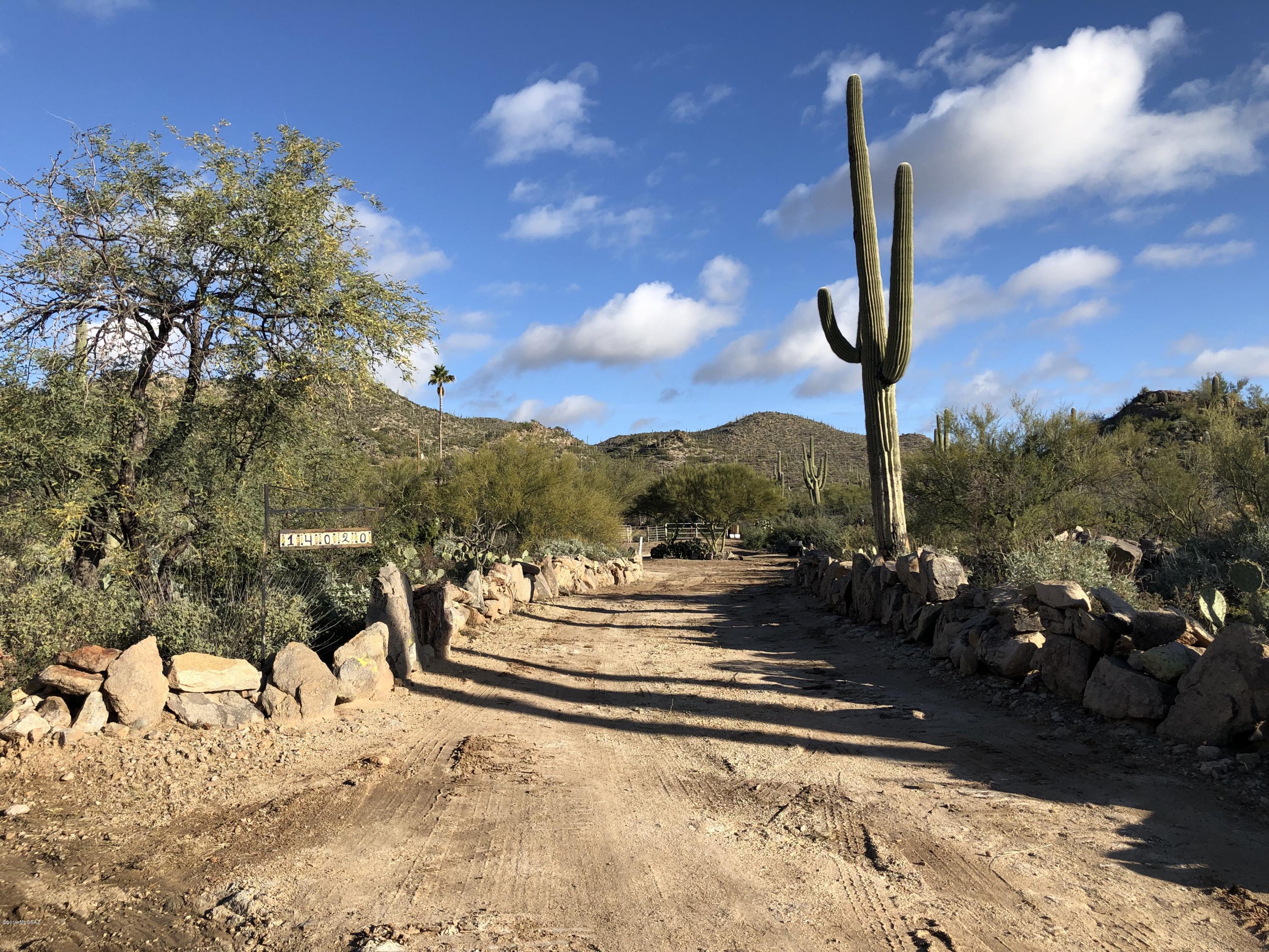 14020 N Gecko Canyon Trail