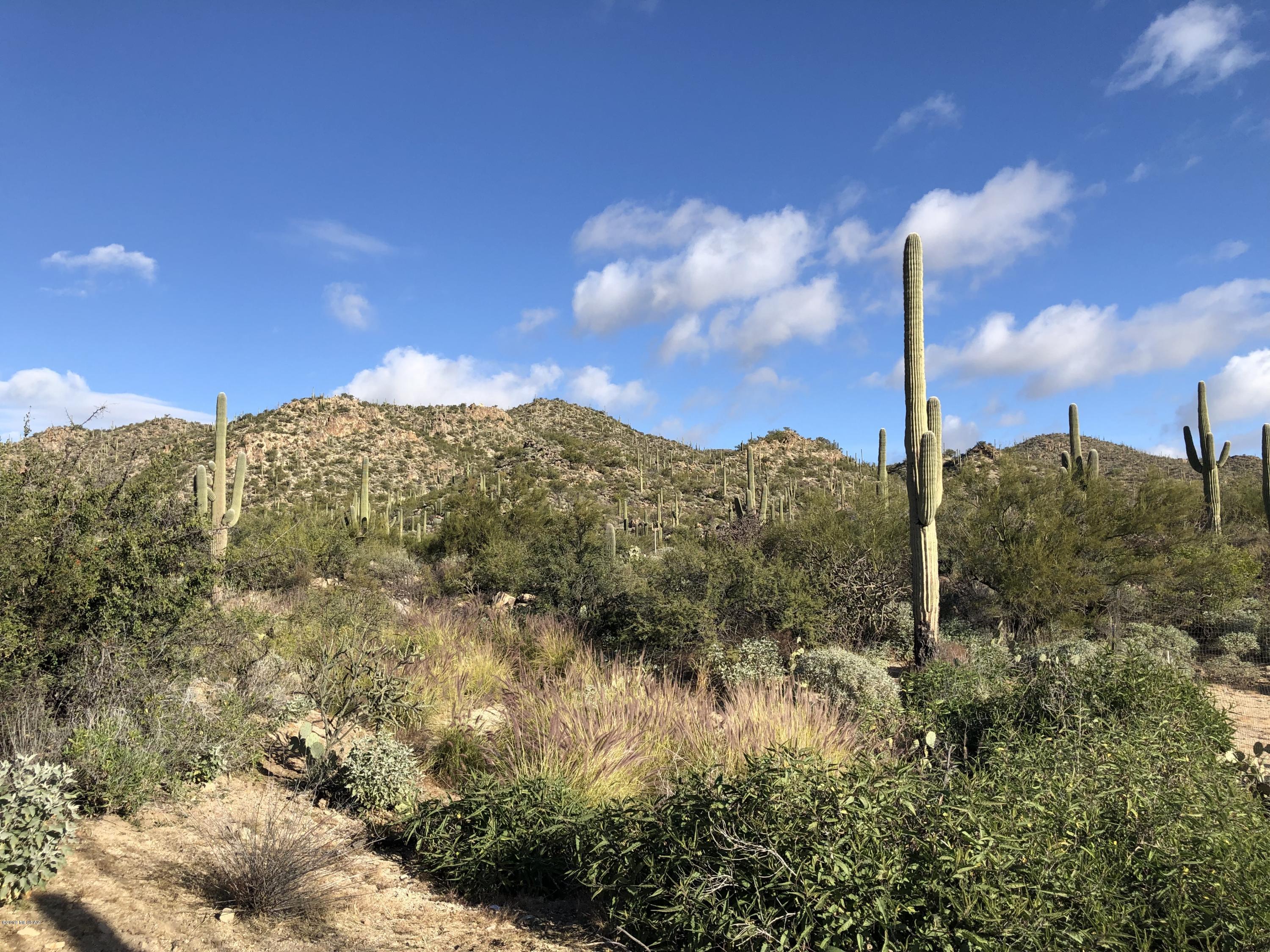 14020 N Gecko Canyon Trail