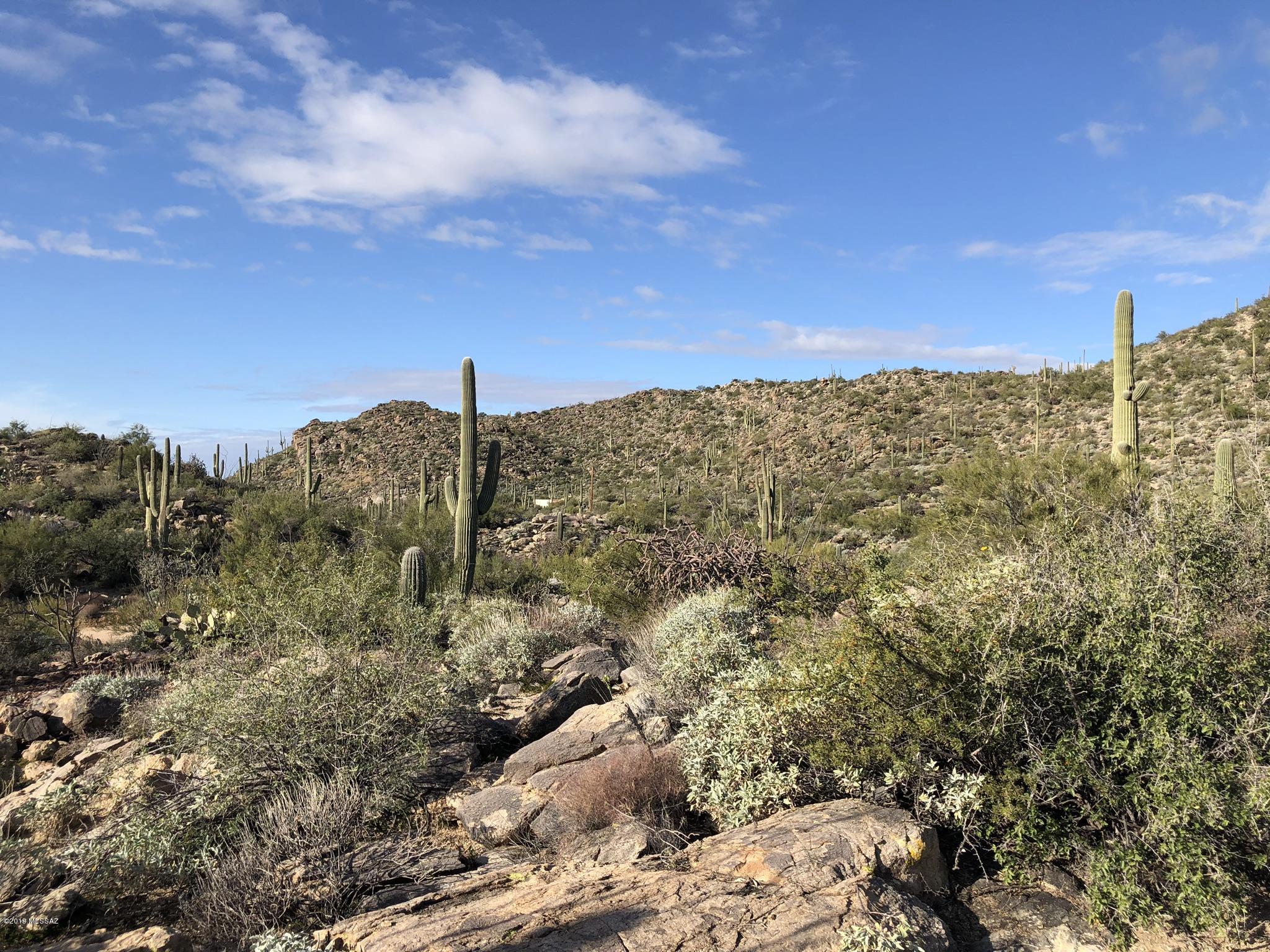 14020 N Gecko Canyon Trail