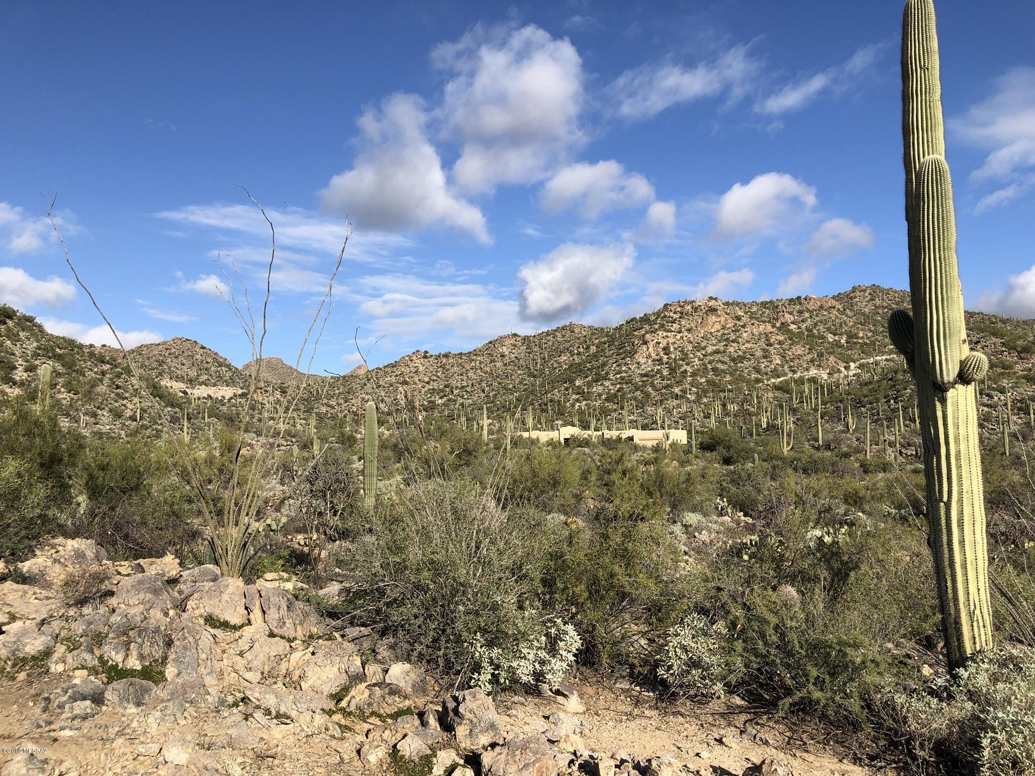 14020 N Gecko Canyon Trail