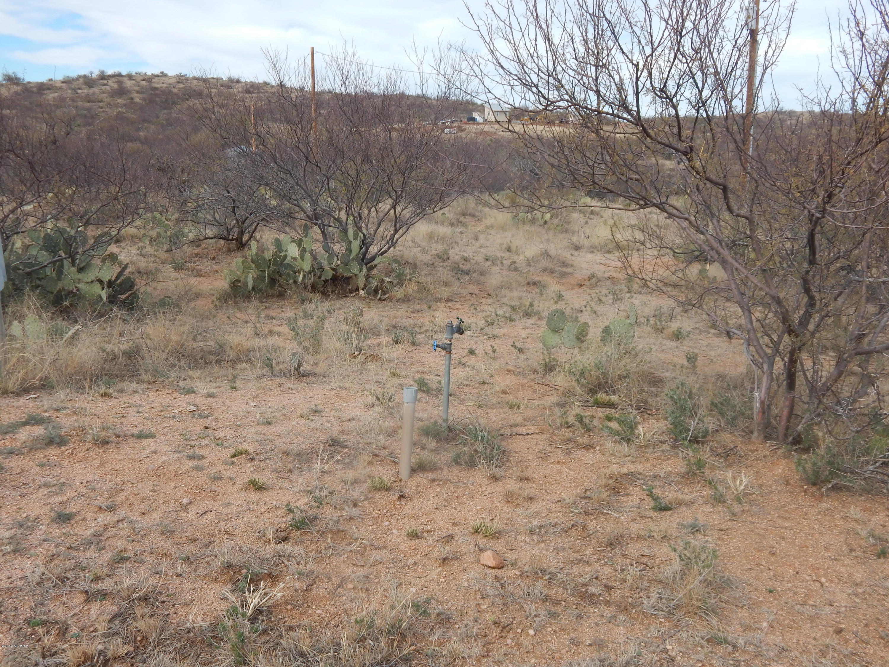 33604 S Huggett Trail Unit: 0