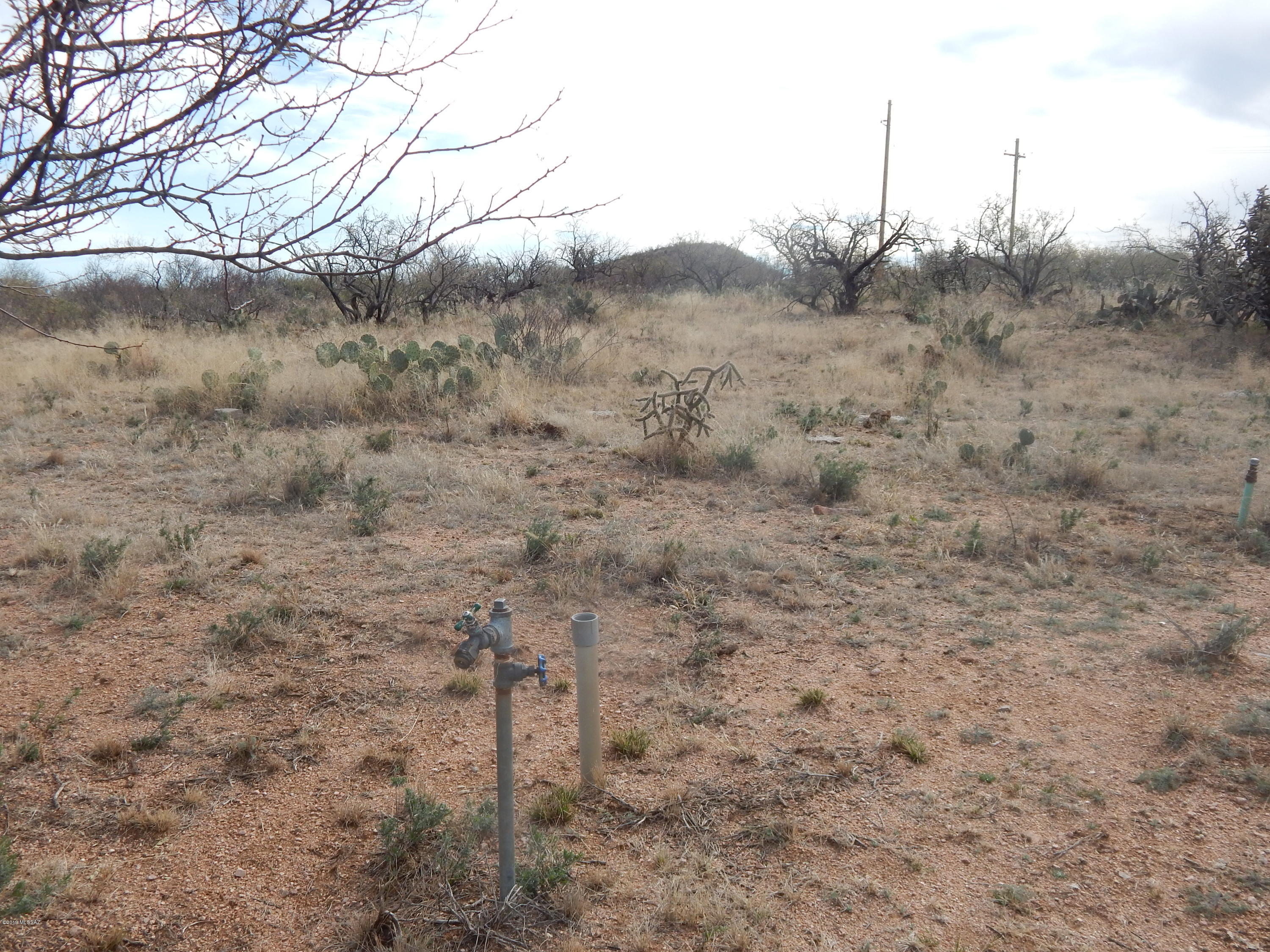 33604 S Huggett Trail Unit: 0