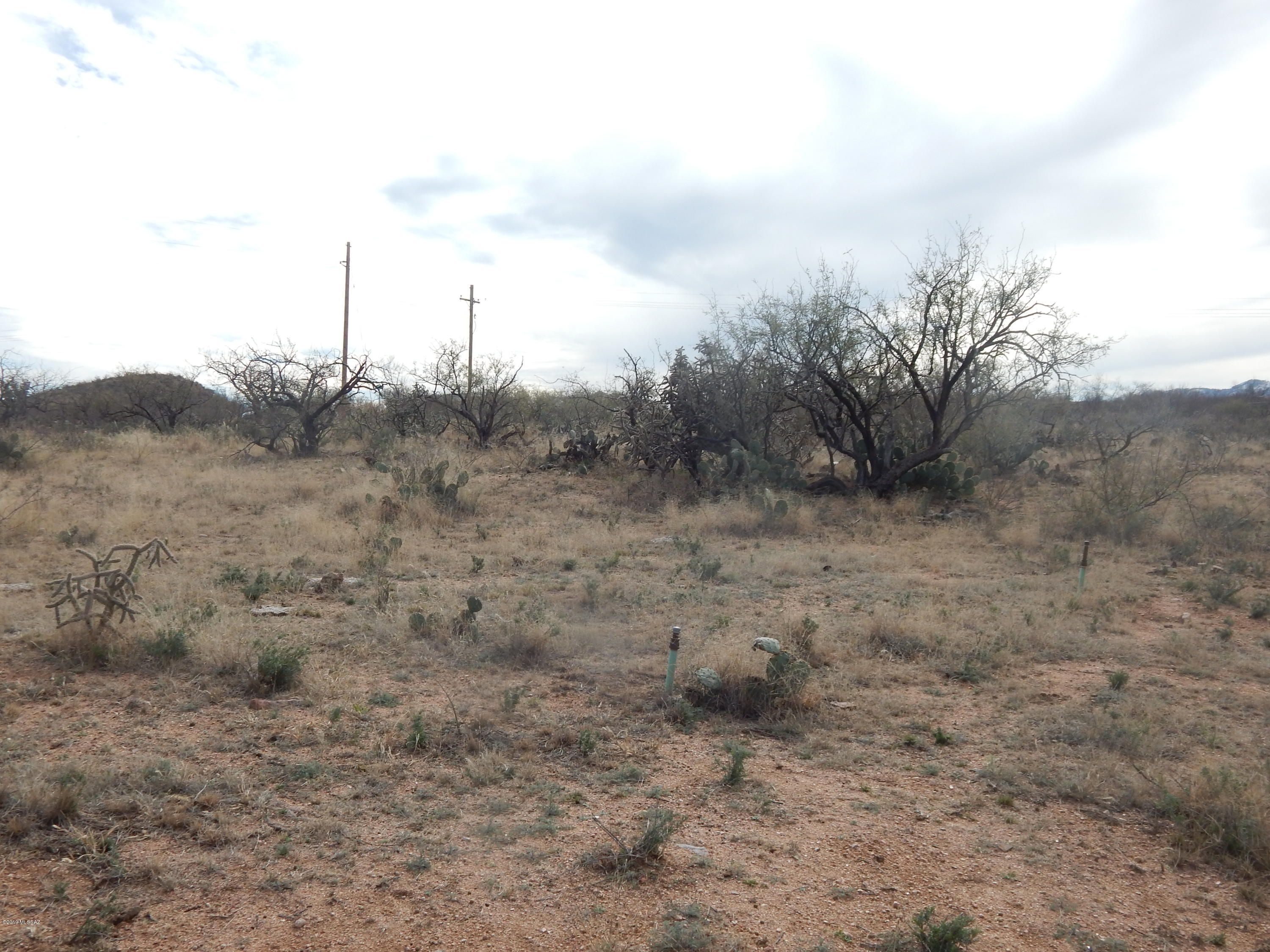 33604 S Huggett Trail Unit: 0