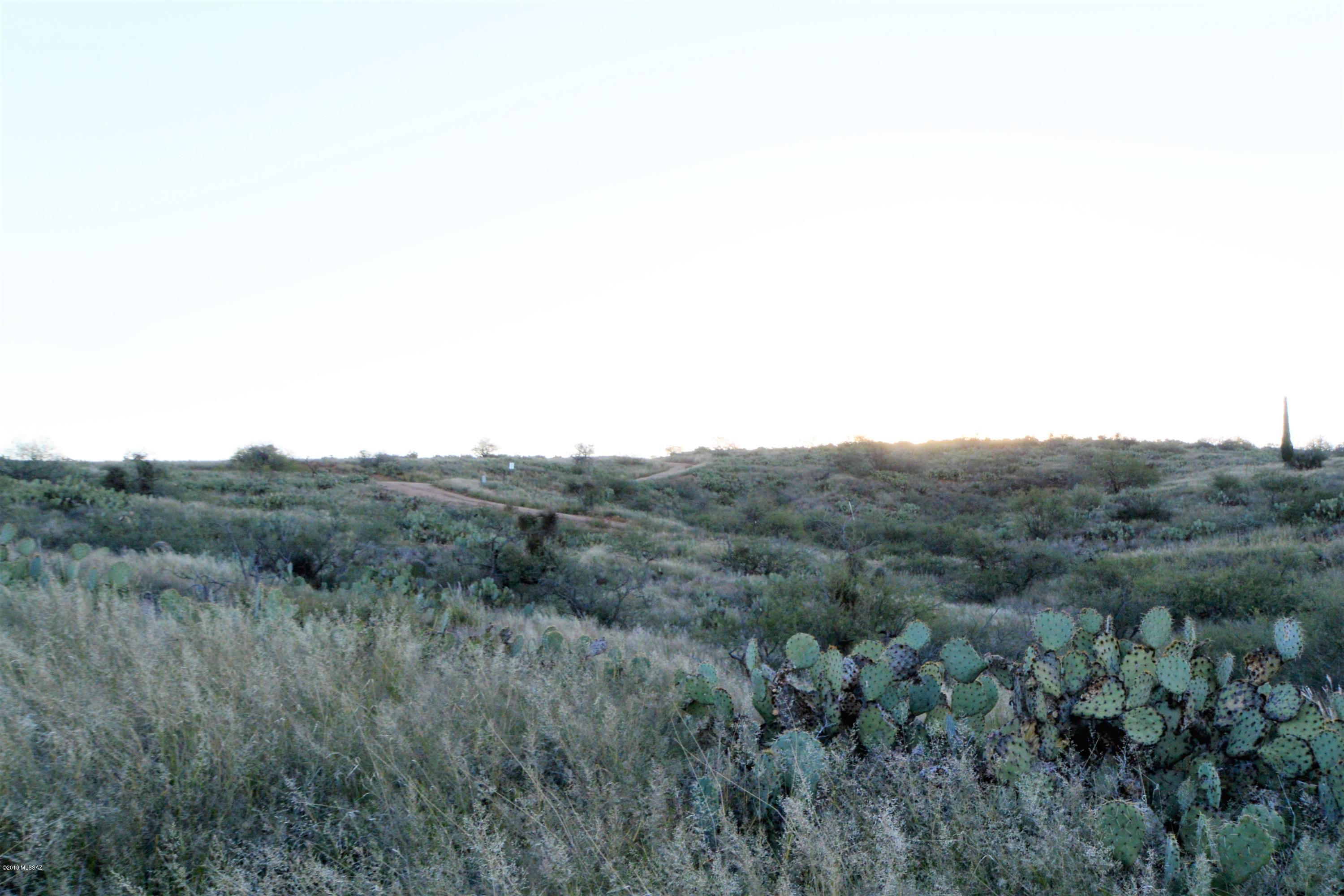 5 ac off W Oro Creek Drive Unit: 5 ac.