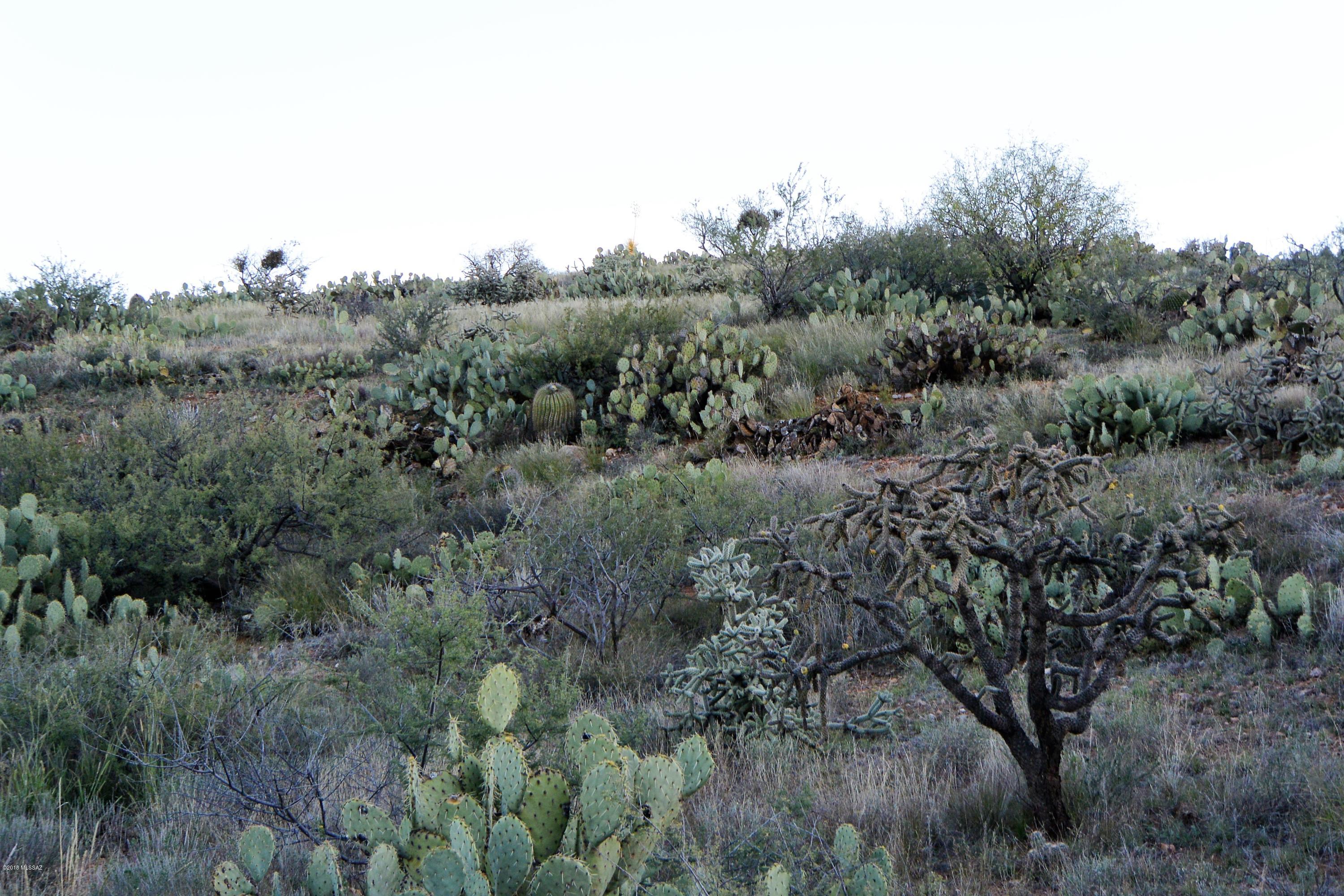 5 ac off W Oro Creek Drive Unit: 5 ac.
