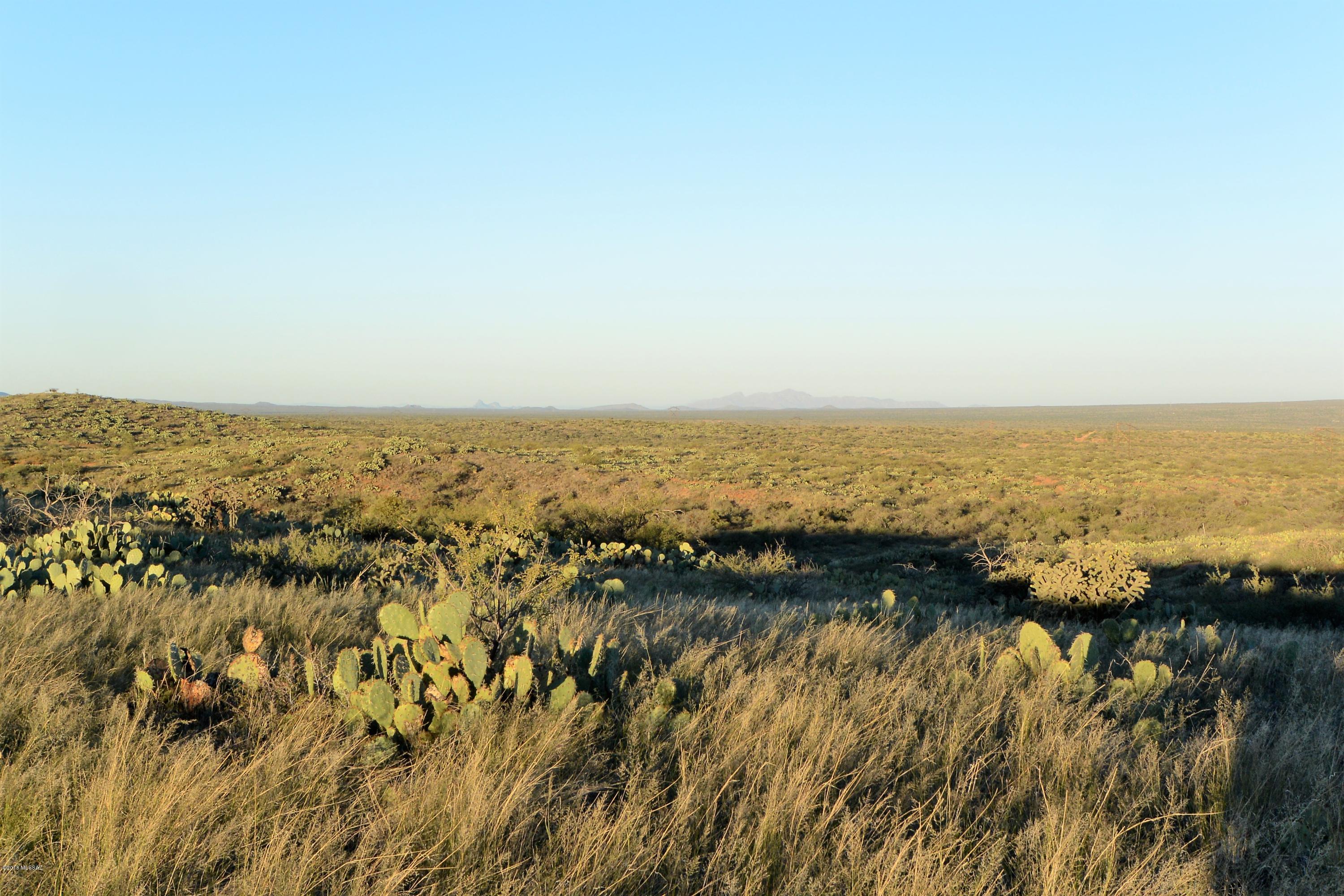 5 ac off W Oro Creek Drive Unit: 5 ac.