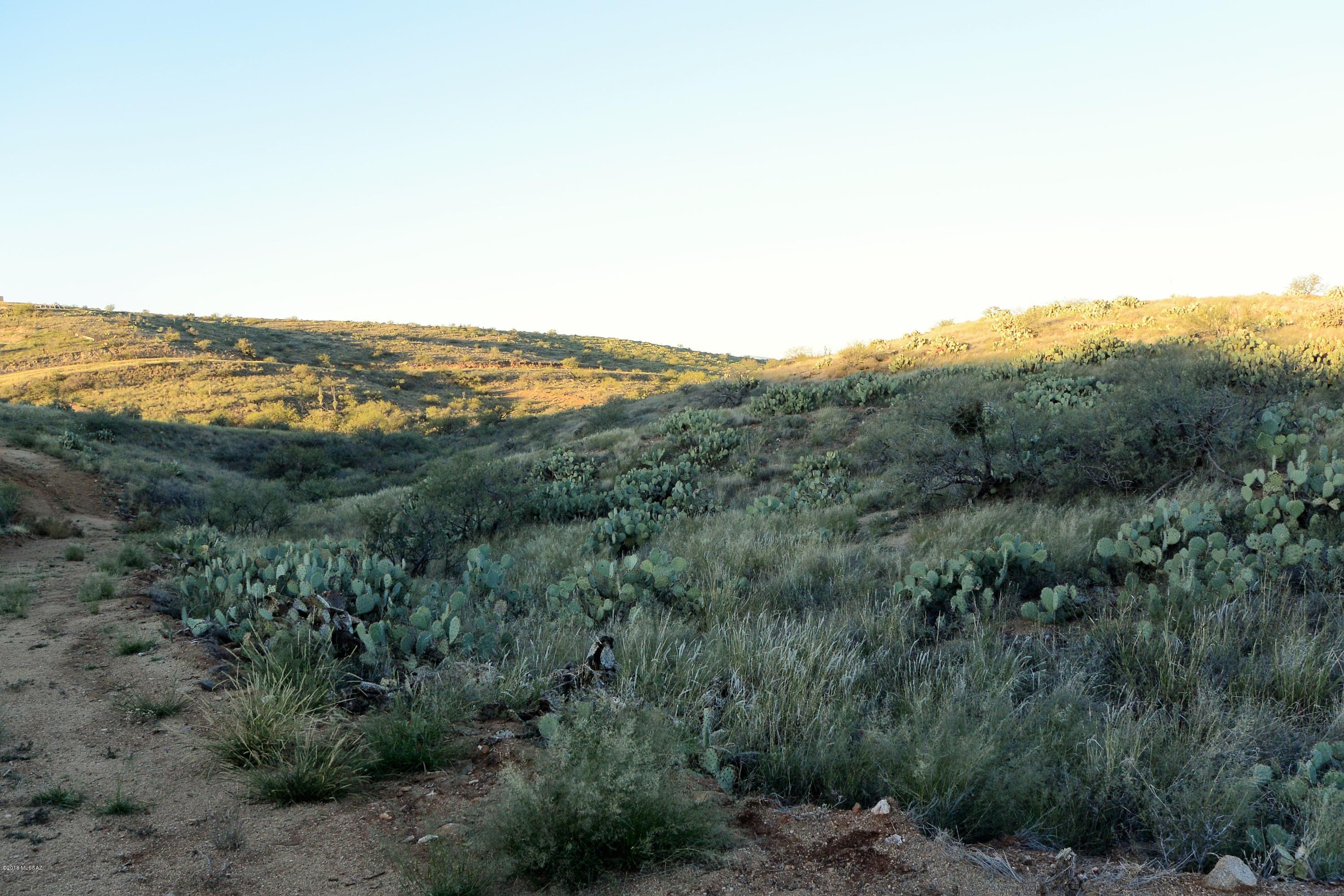 5 ac off W Oro Creek Drive Unit: 5 ac.