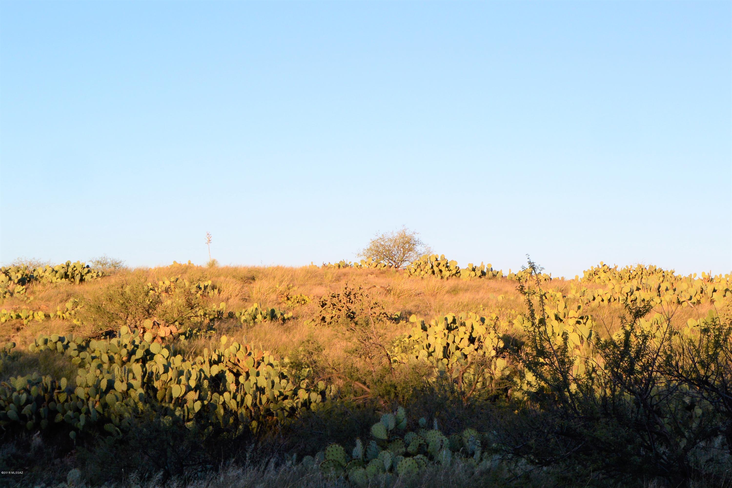 5 ac off W Oro Creek Drive Unit: 5 ac.
