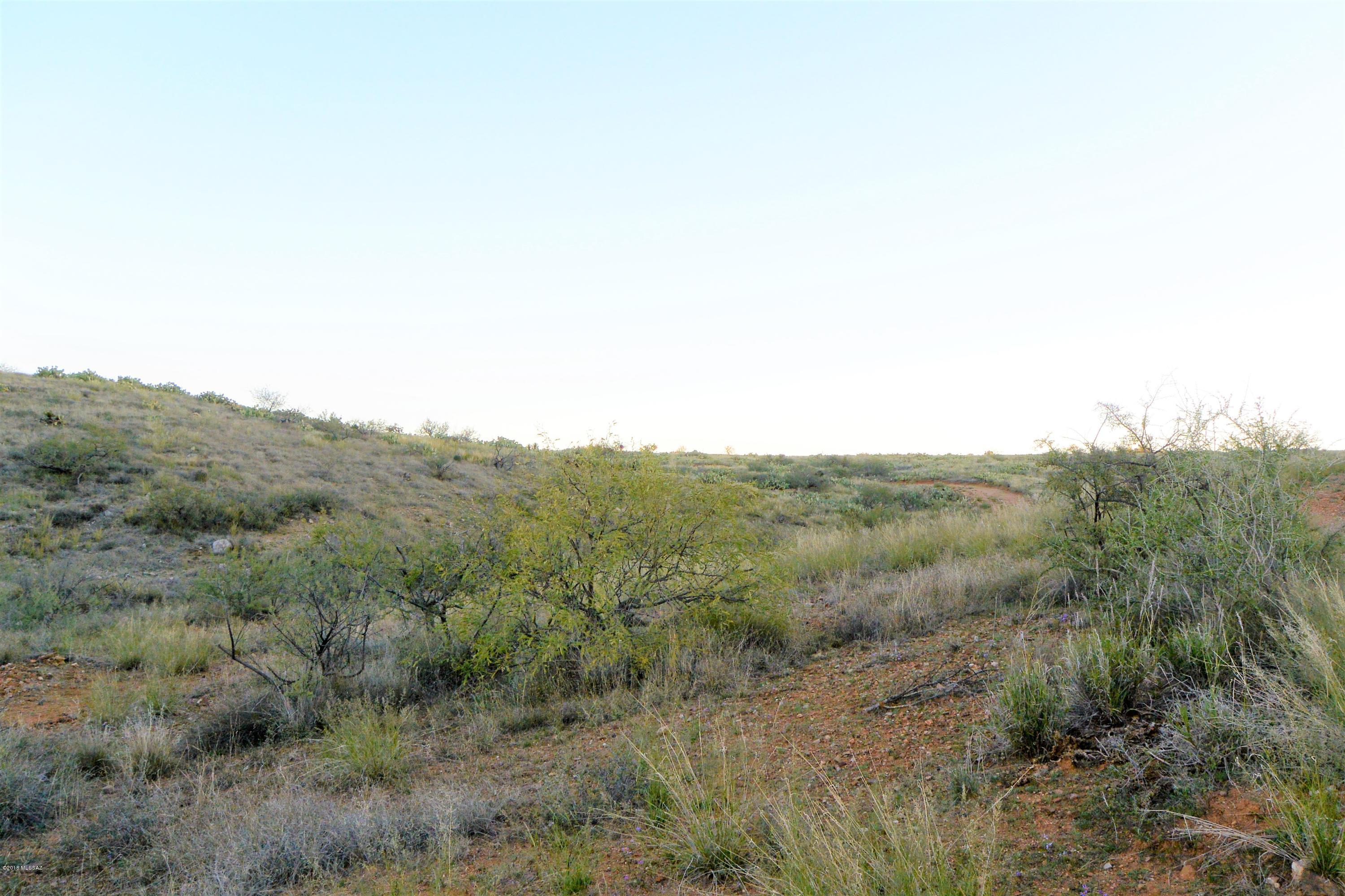 5 ac off W Oro Creek Drive Unit: 5 ac.