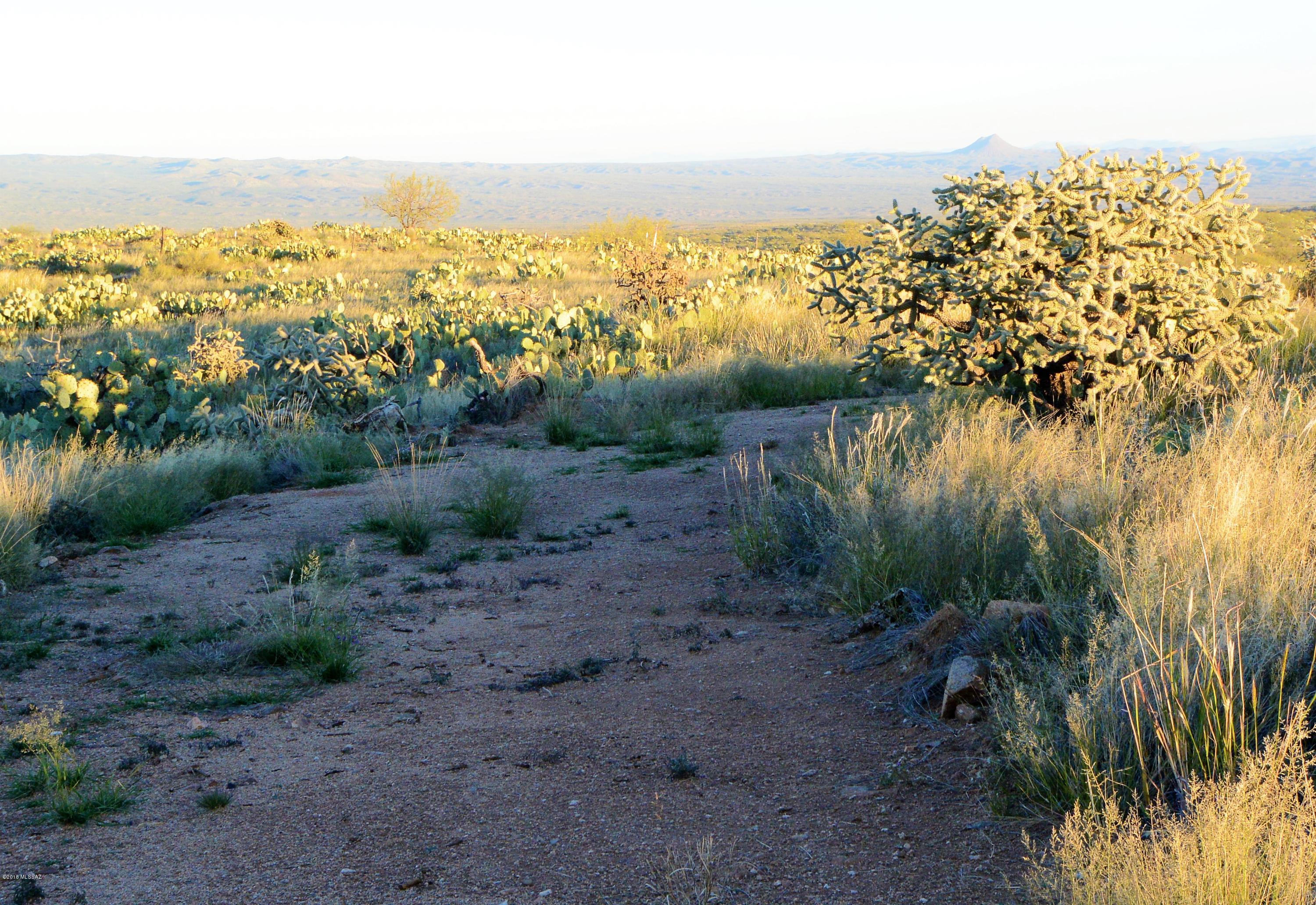 5 ac off W Oro Creek Drive Unit: 5 ac.