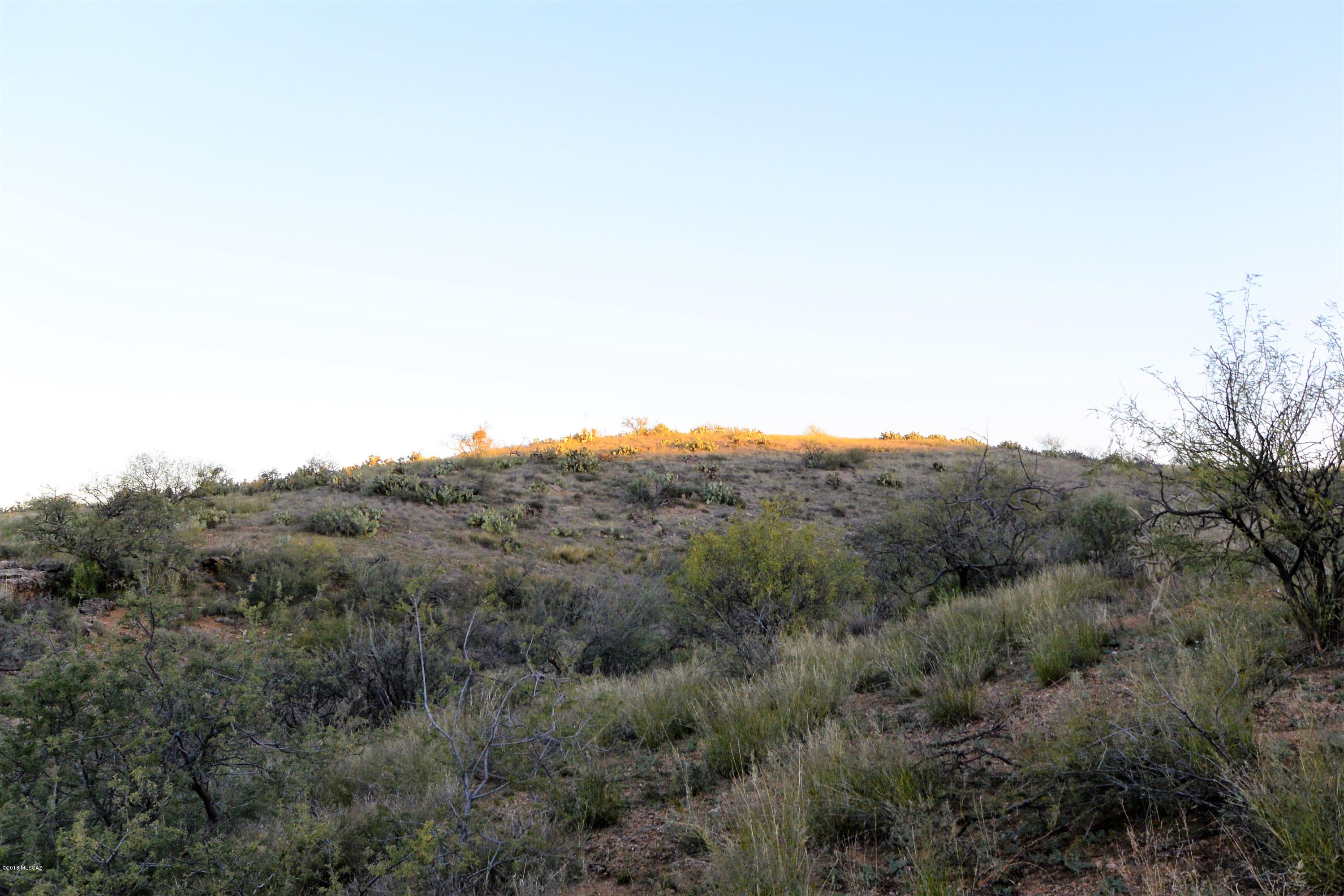 5 ac off W Oro Creek Drive Unit: 5 ac.