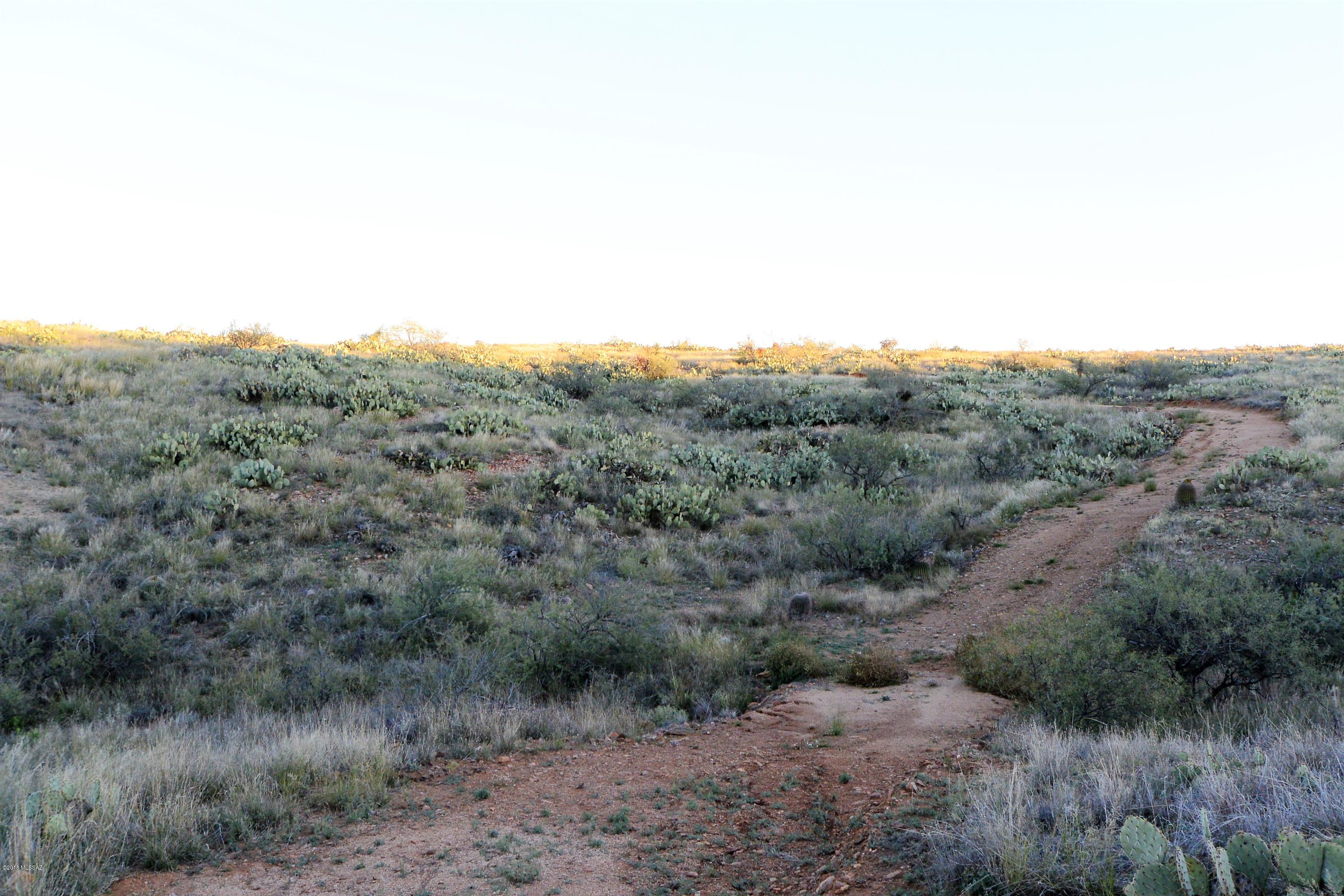 5 ac off W Oro Creek Drive Unit: 5 ac.