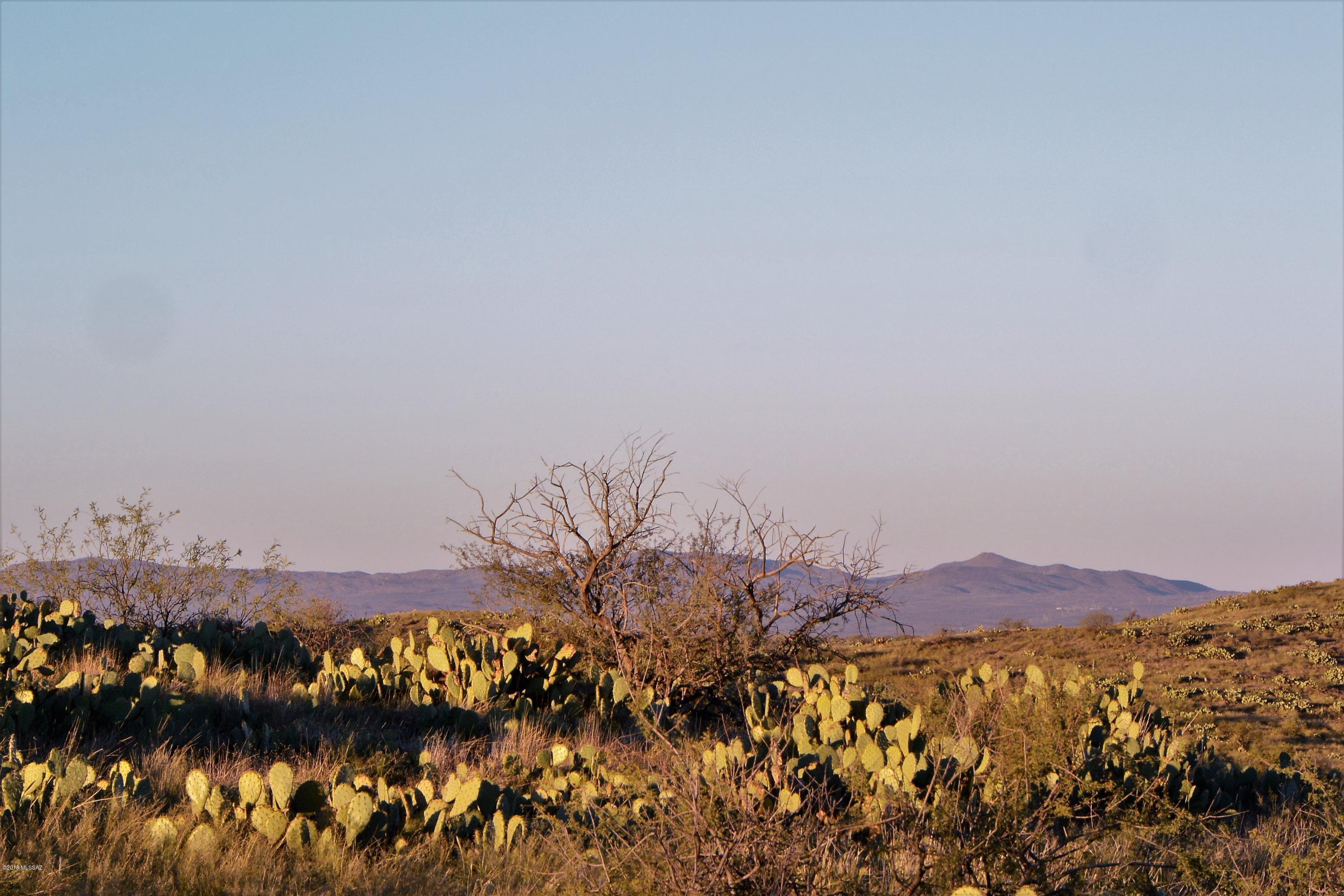 5 ac off W Oro Creek Drive Unit: 5 ac.