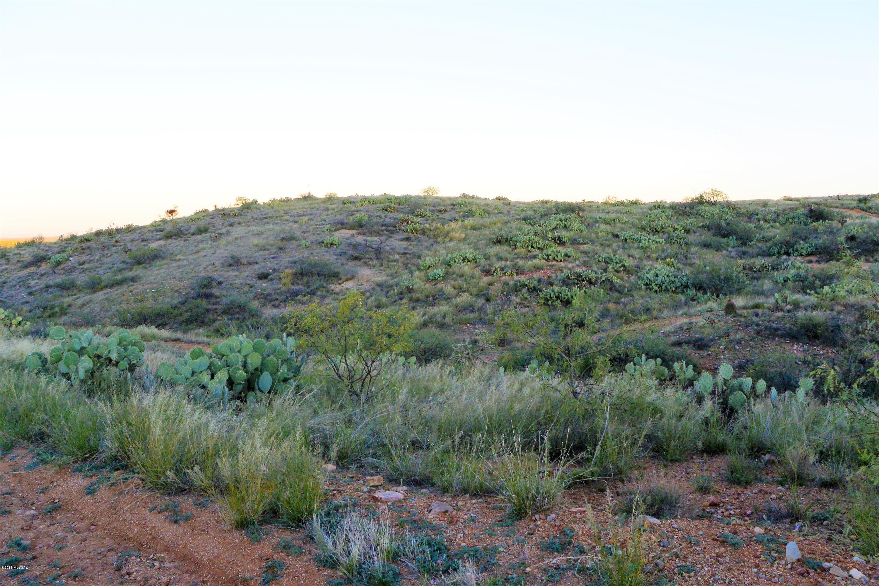 5 ac off W Oro Creek Drive Unit: 5 ac.