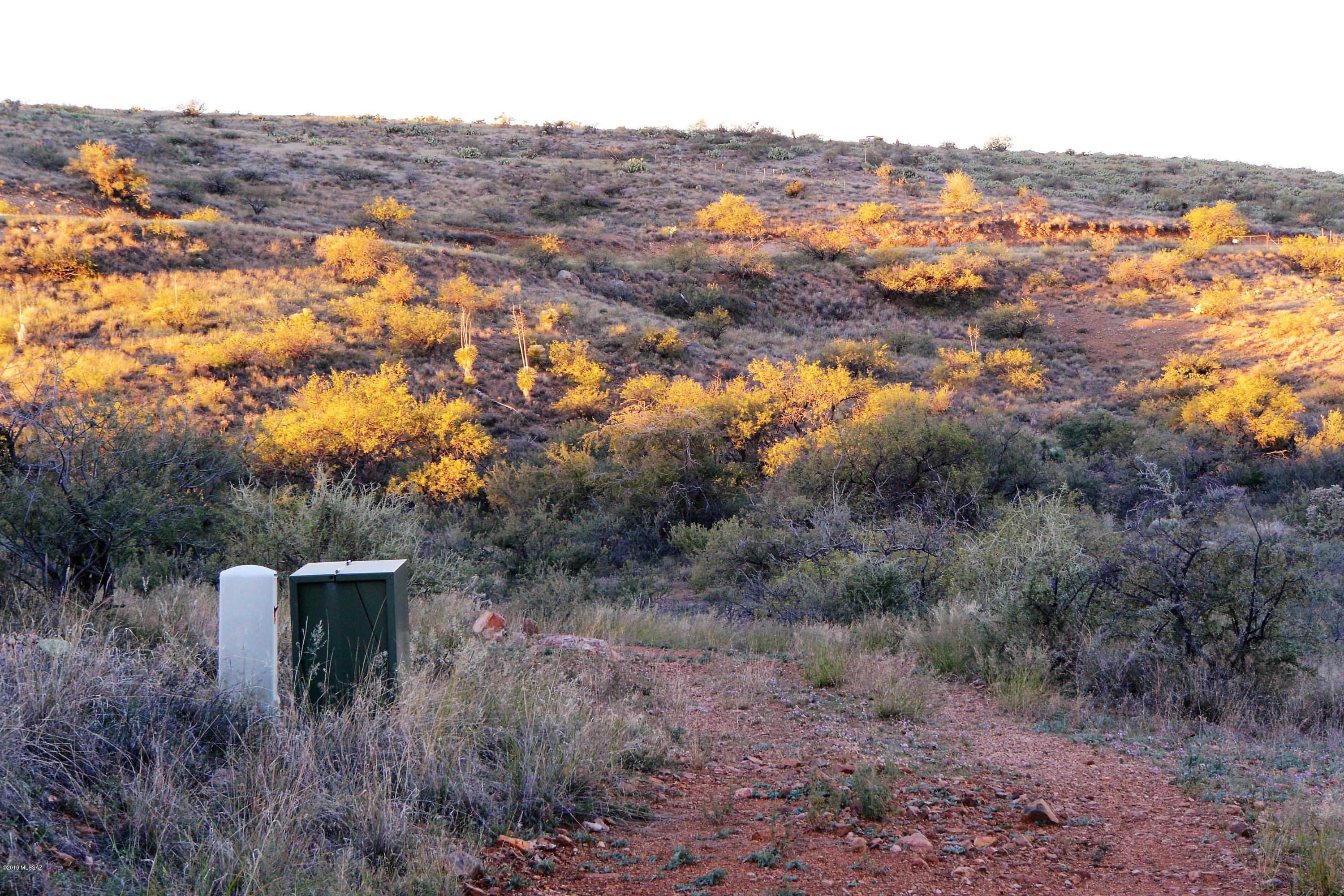 5 ac off W Oro Creek Drive Unit: 5 ac.