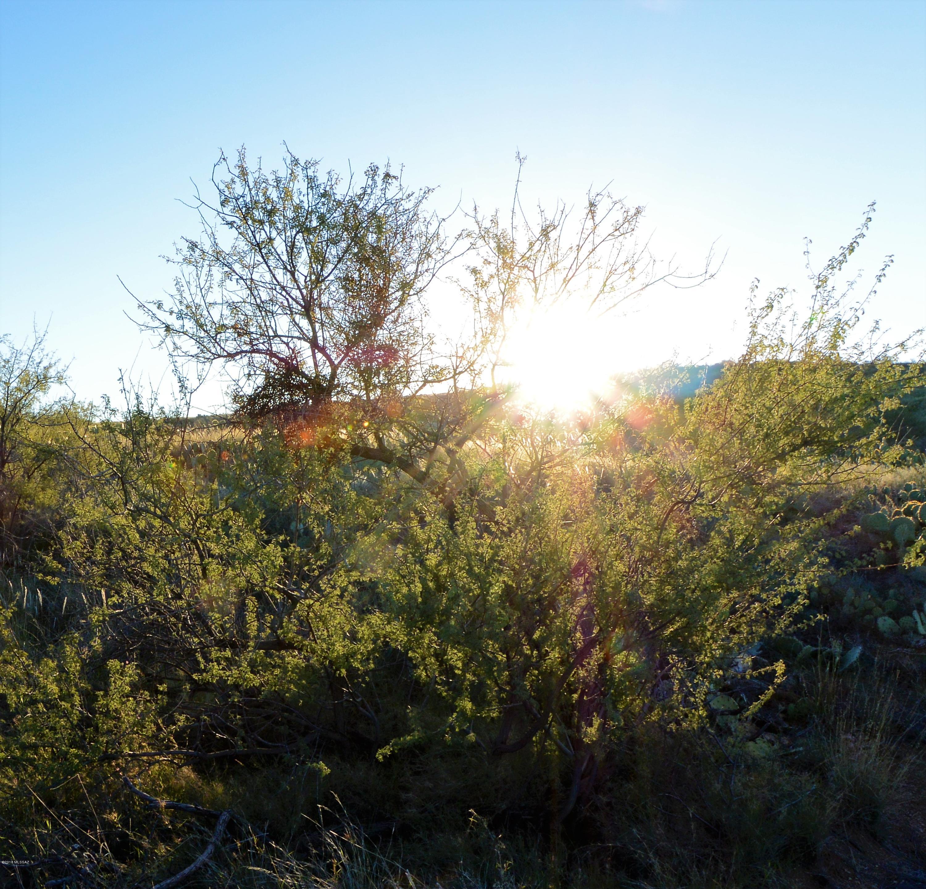 5 ac off W Oro Creek Drive Unit: 5 ac.