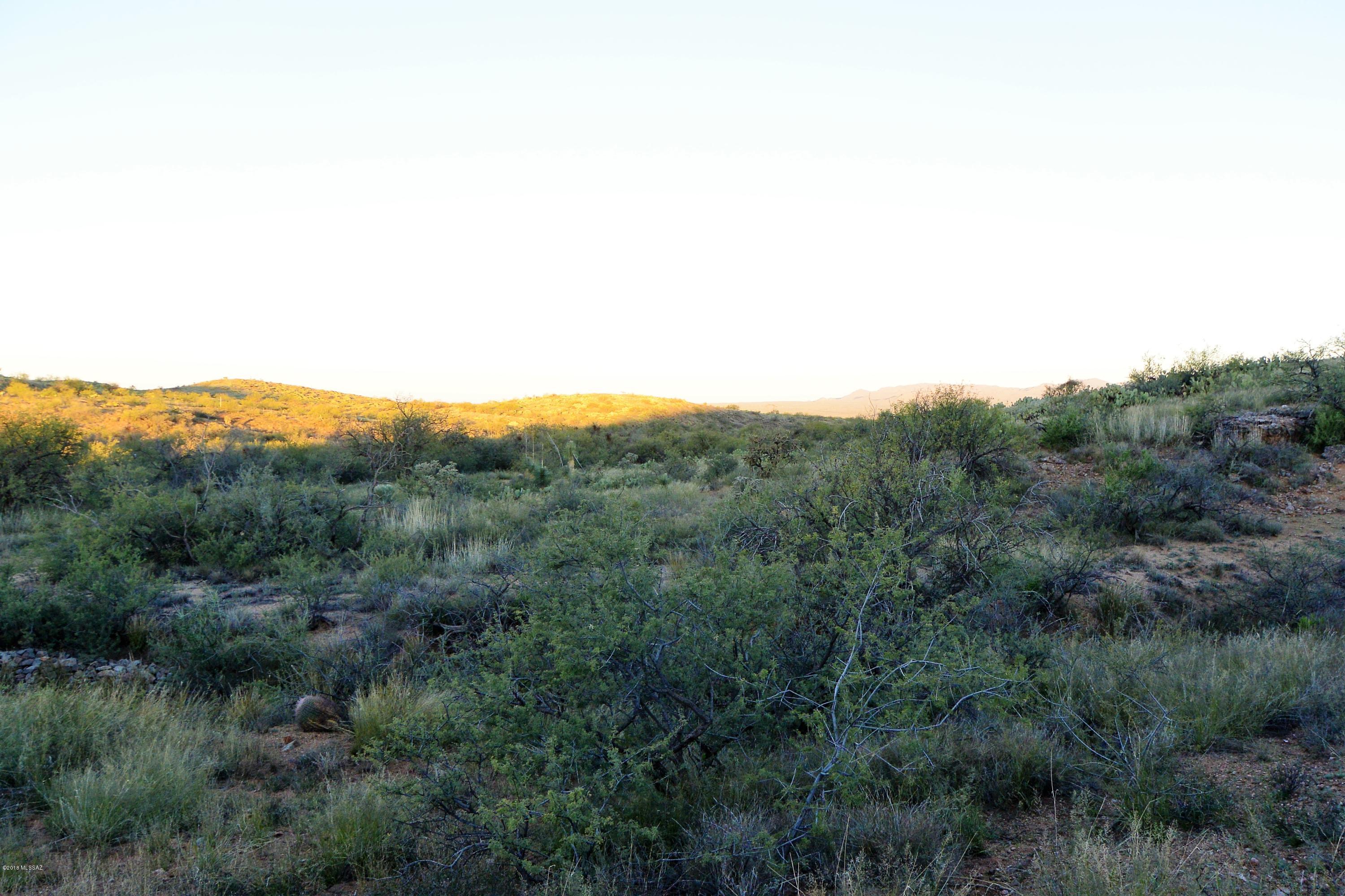 5 ac off W Oro Creek Drive Unit: 5 ac.