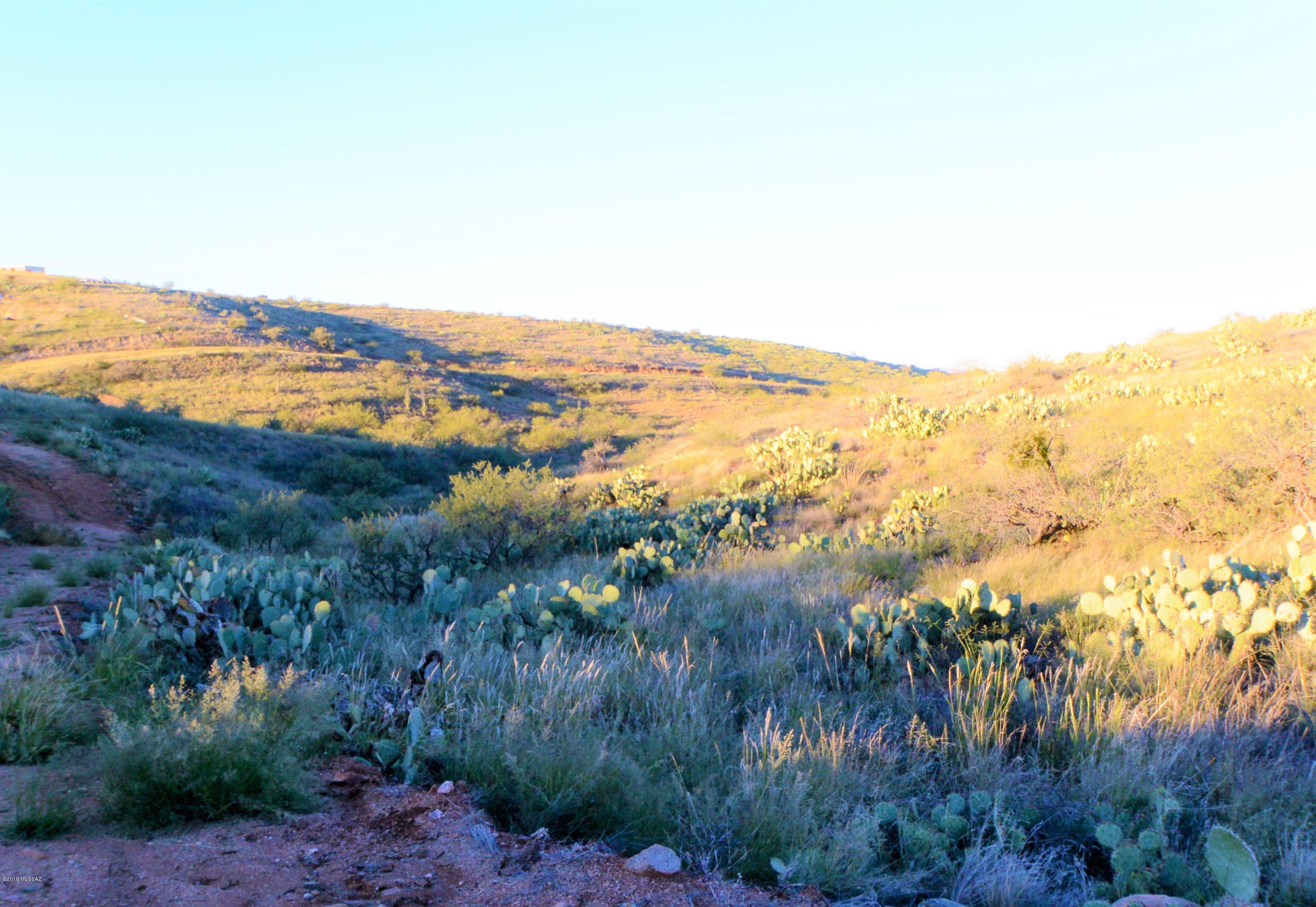 5 ac off W Oro Creek Drive Unit: 5 ac.