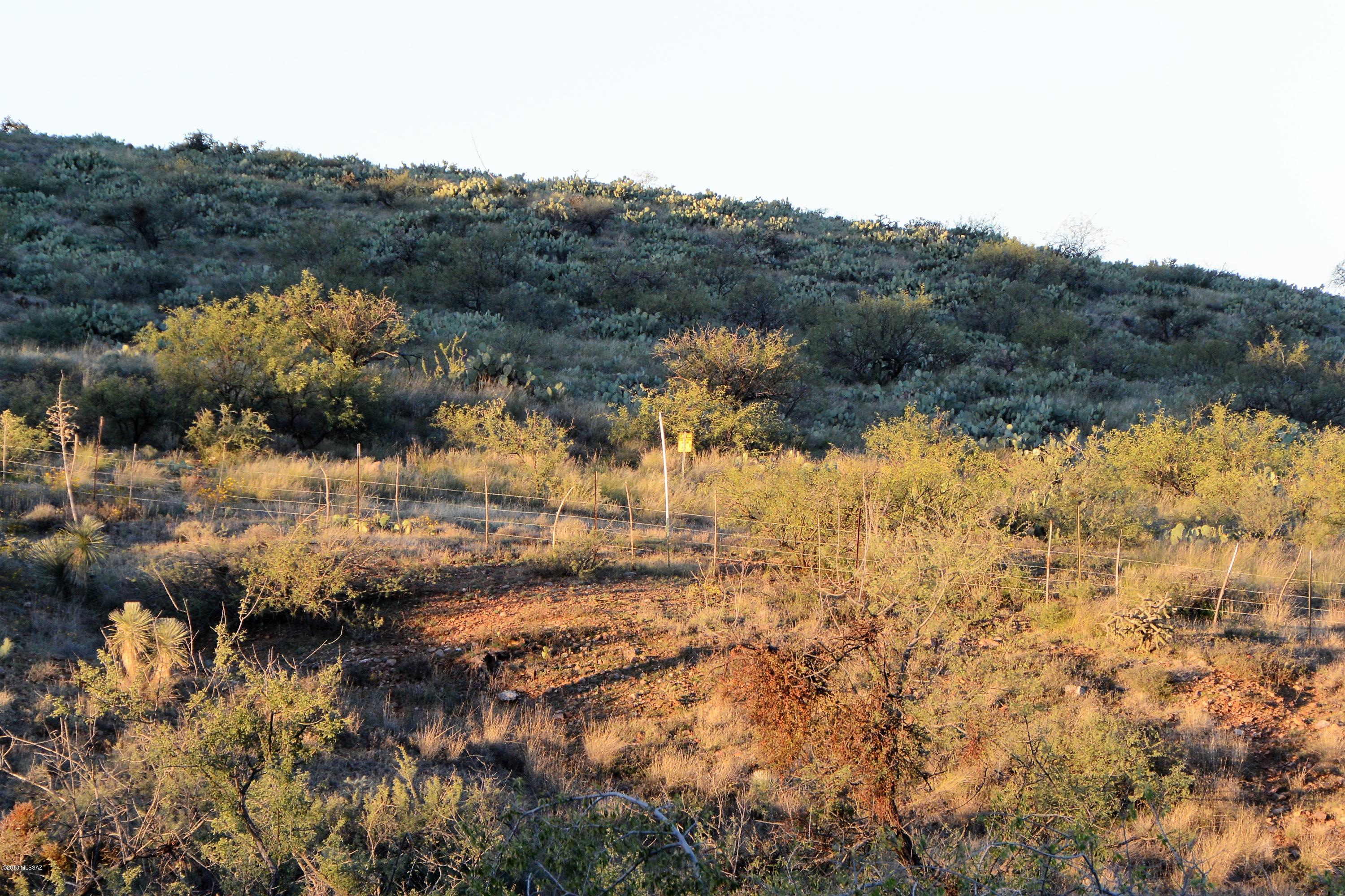 5 ac off W Oro Creek Drive Unit: 5 ac.