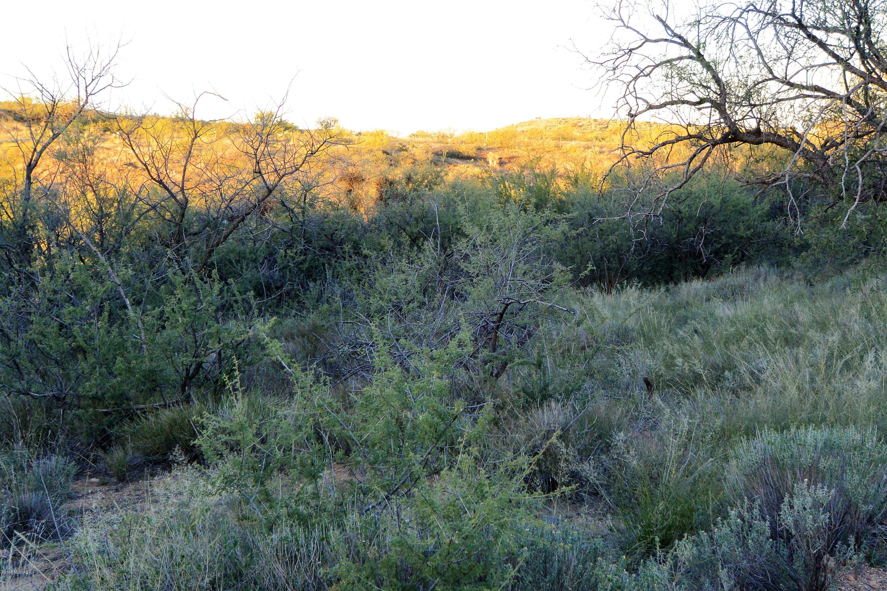 5 ac off W Oro Creek Drive Unit: 5 ac.
