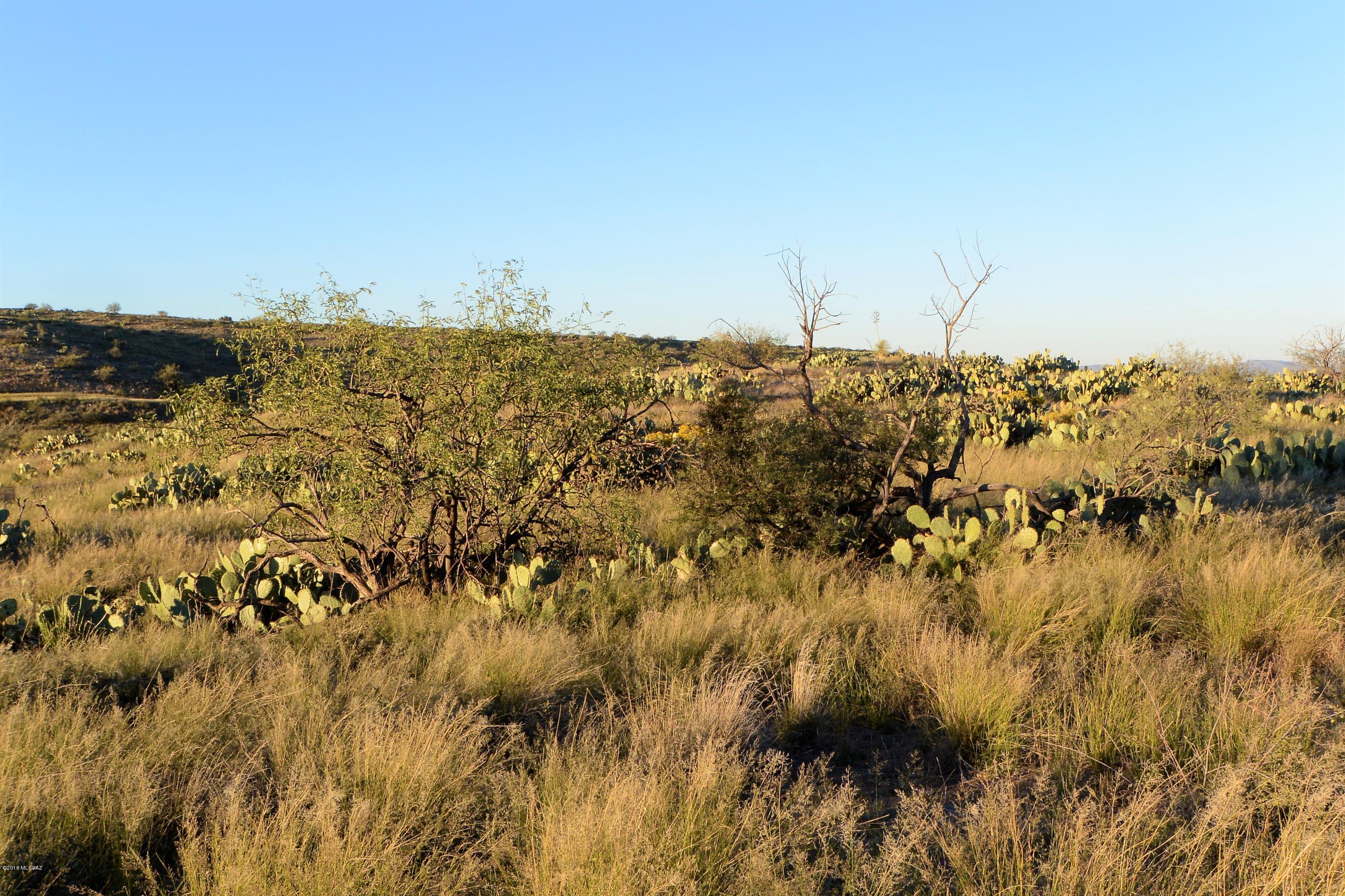 5 ac off W Oro Creek Drive Unit: 5 ac.