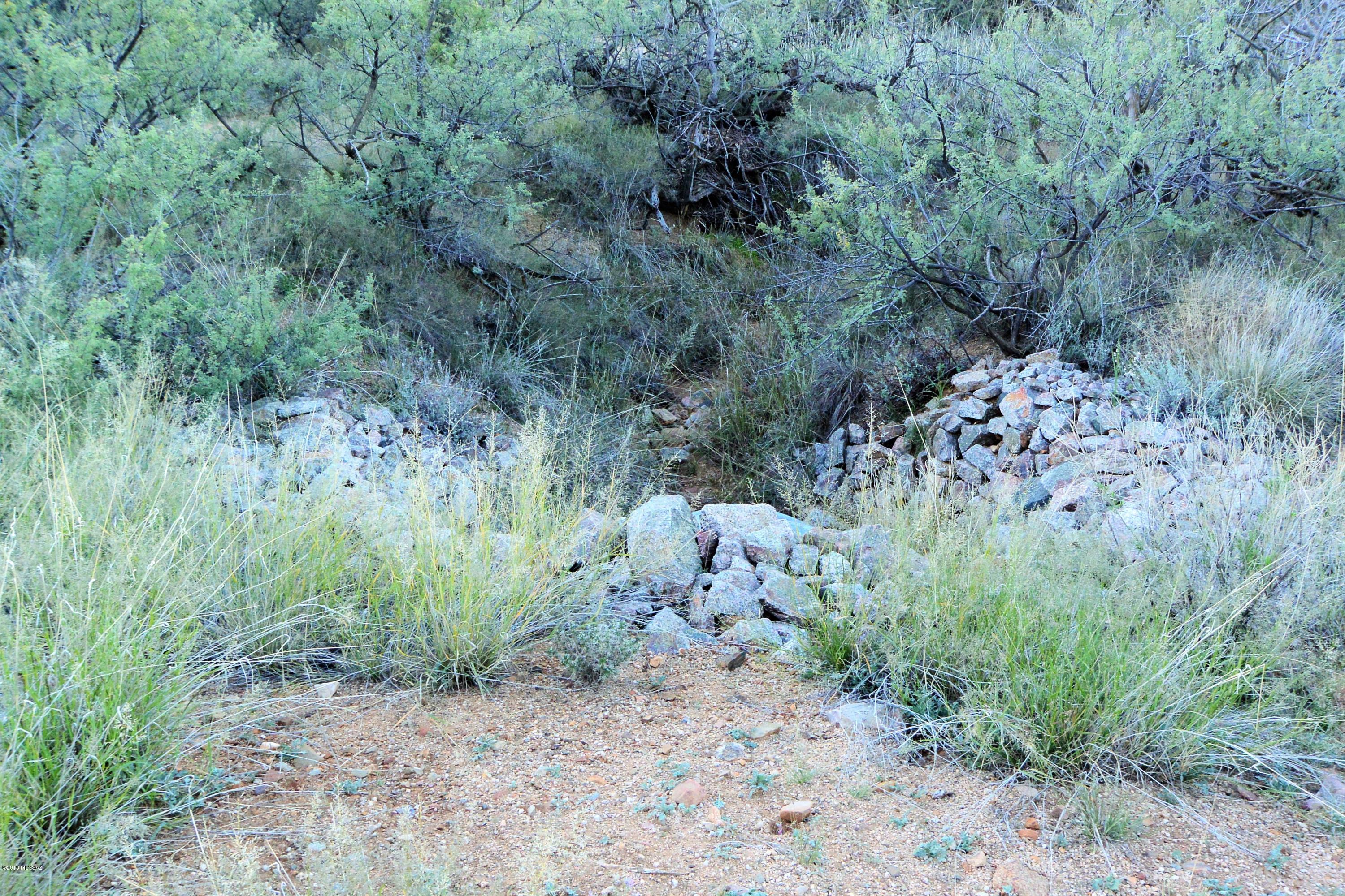 5 ac off W Oro Creek Drive Unit: 5 ac.