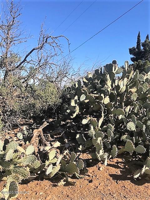 1.25 Acres Rockridge North Road Unit: 0