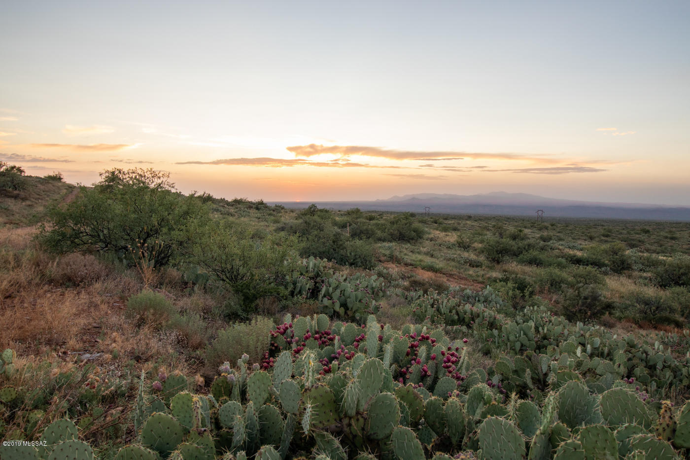 20 Ac W Oro Creek Drive Unit: 0