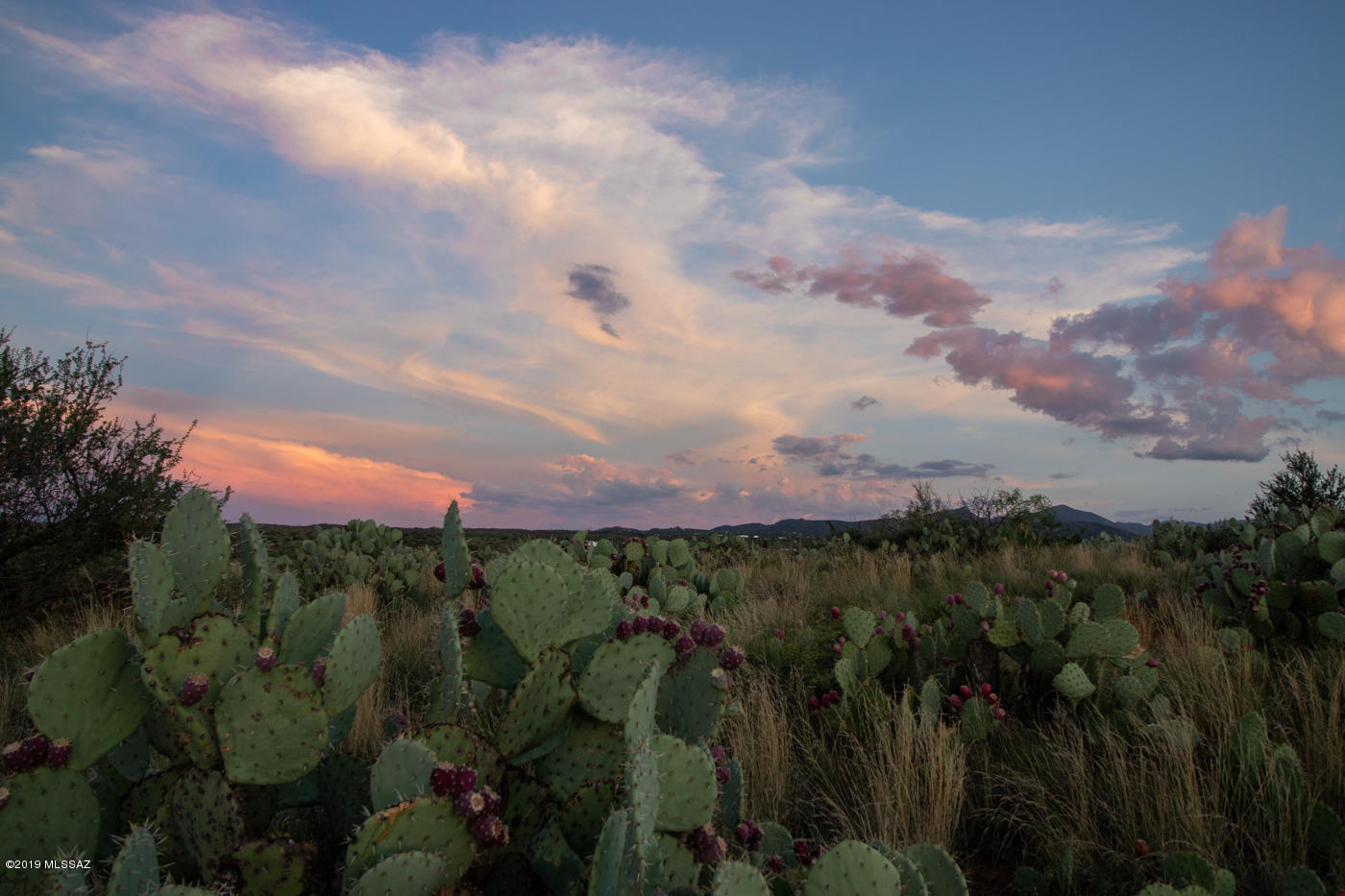 20 Ac W Oro Creek Drive Unit: 0