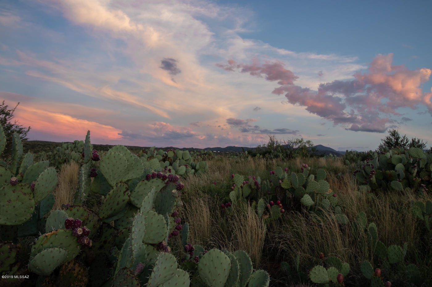 20 Ac W Oro Creek Drive Unit: 0