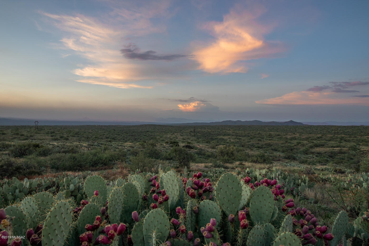 20 Ac W Oro Creek Drive Unit: 0