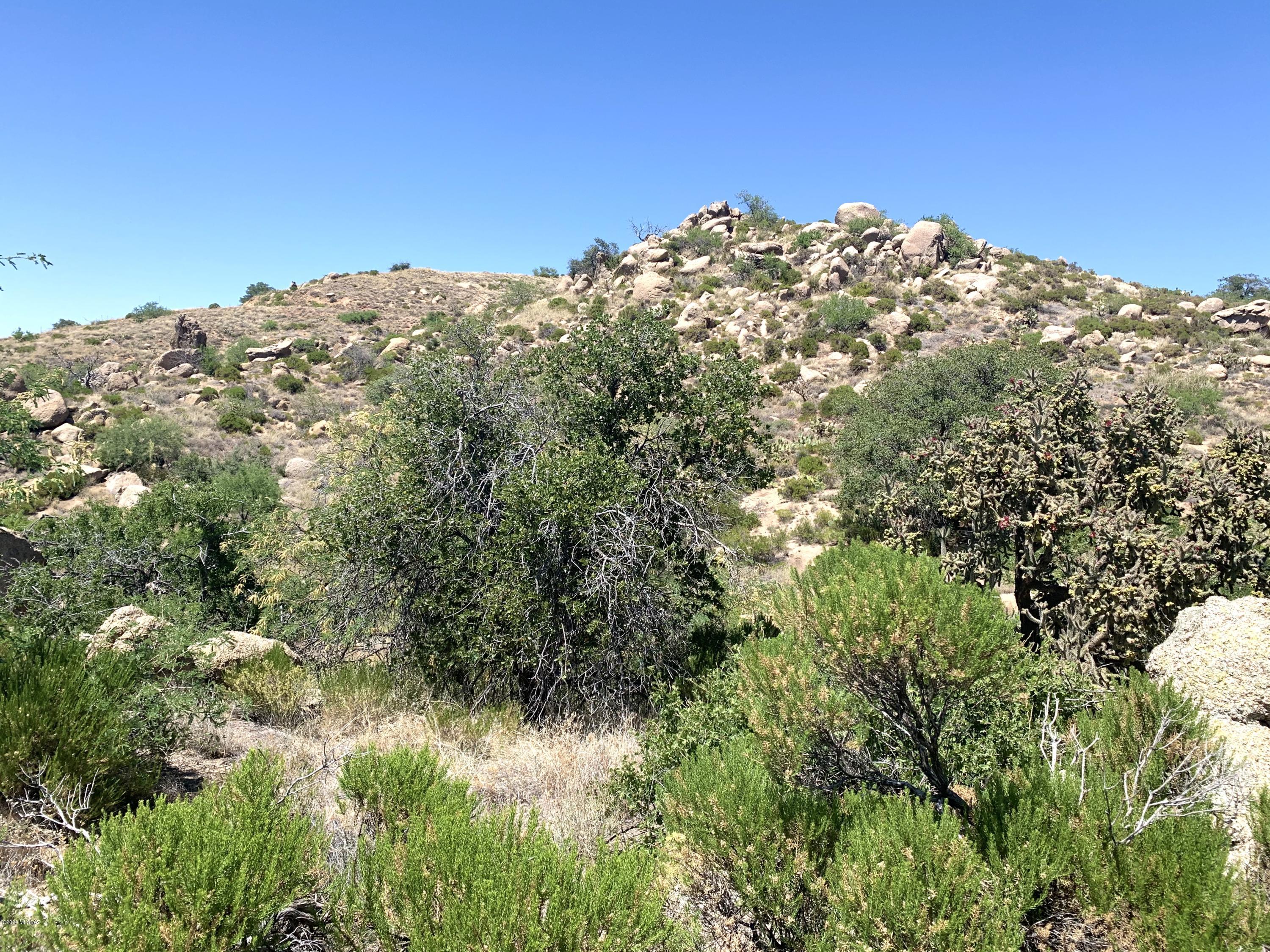 1.04ac off W La Mariposa Unit: 0