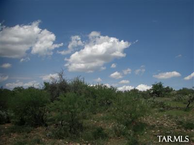 E Vanessa Way Unit: 2.5 ac.