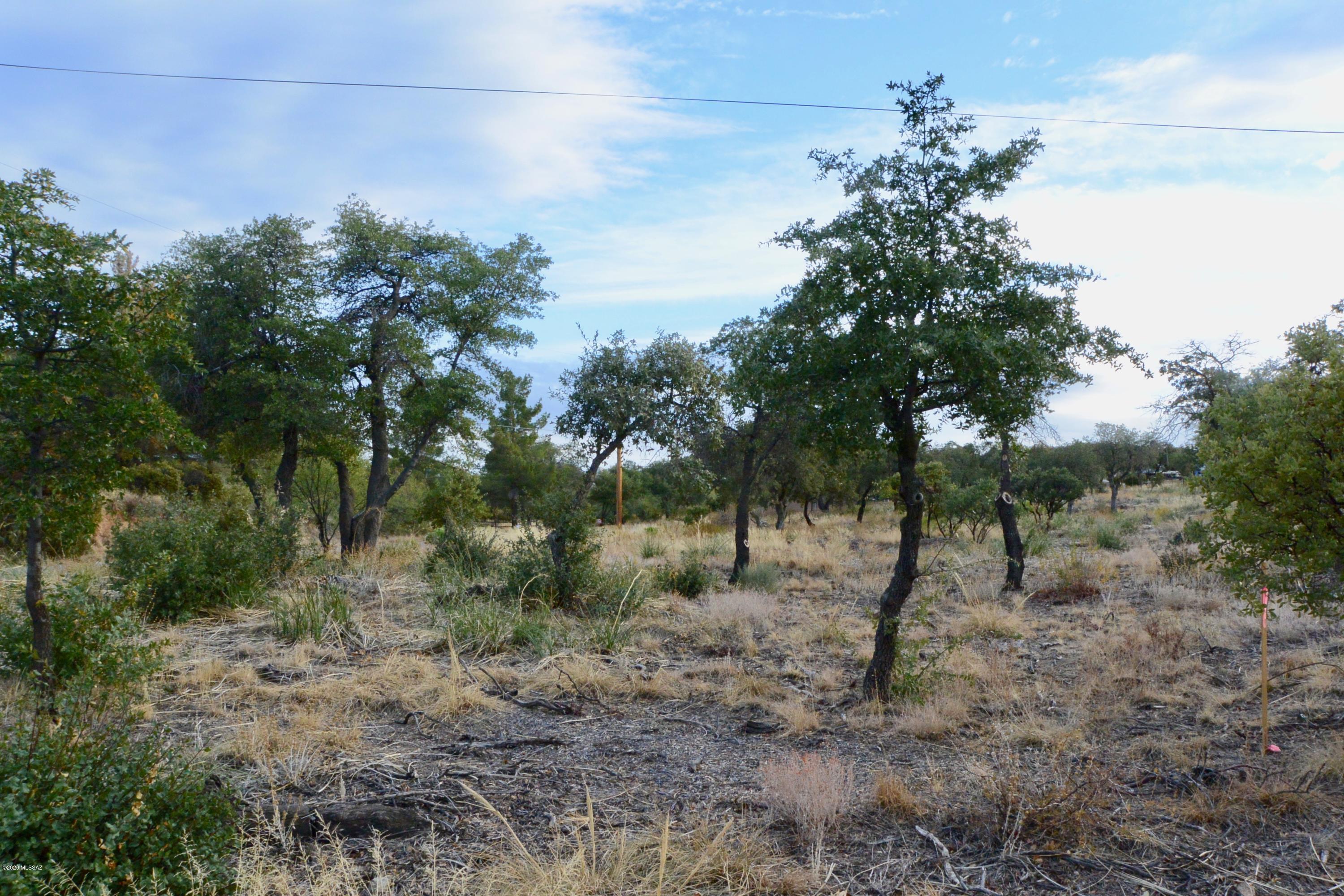 TBD N Viento Drive Unit: Lot # 4