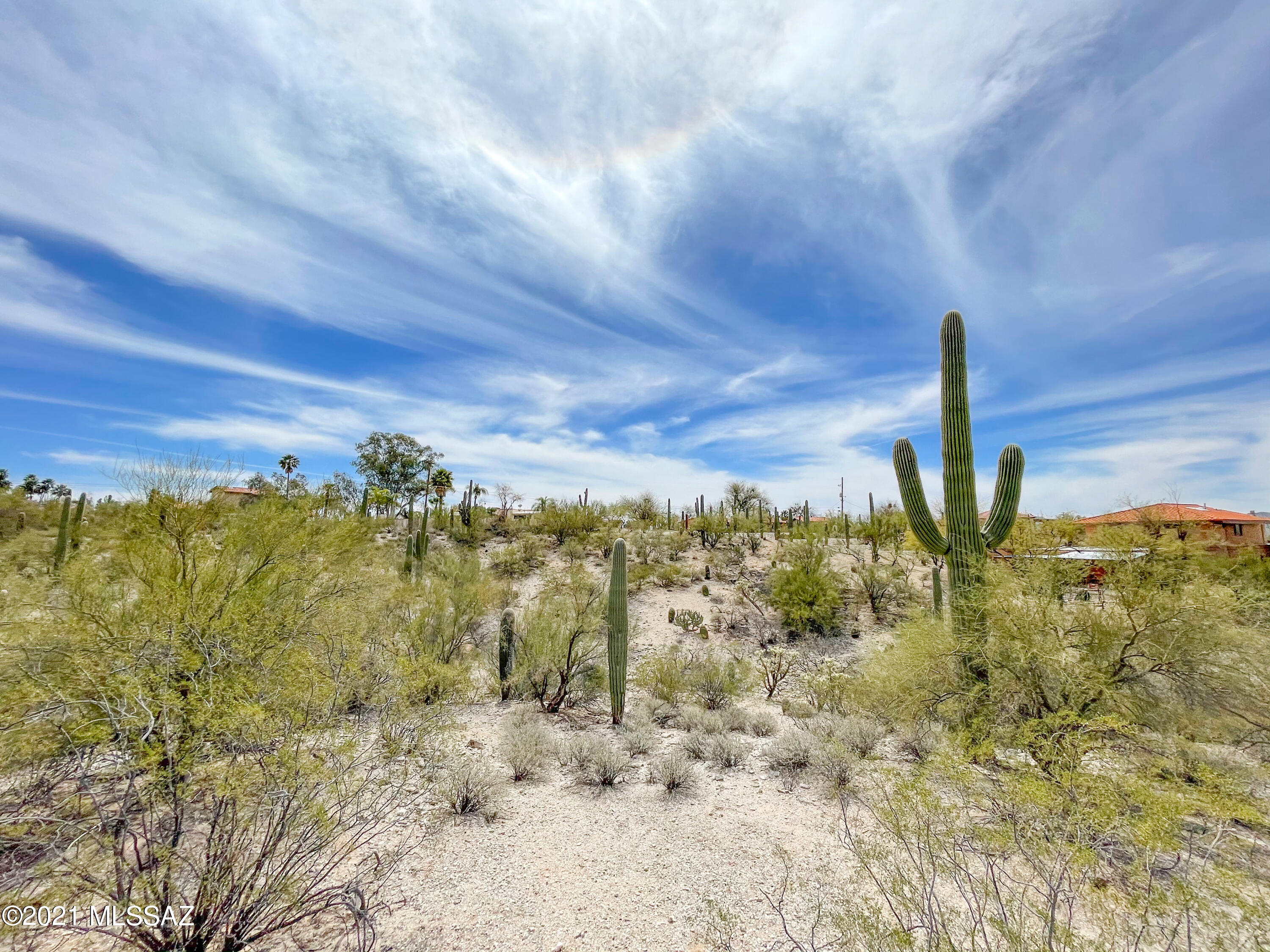 770 W Cresta Loma Drive Unit: -