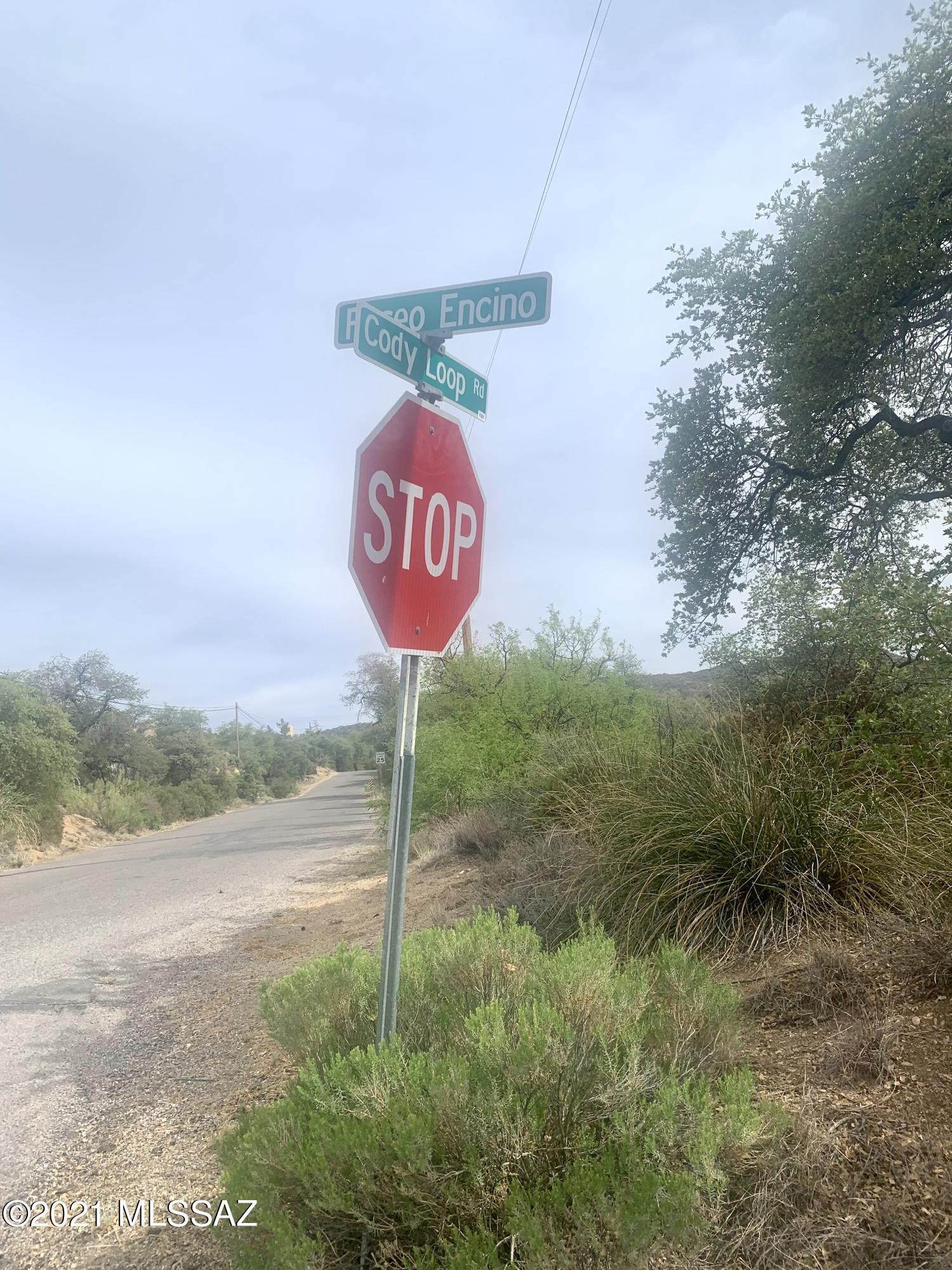 1.3 Acres off Cody Loop Unit: 0