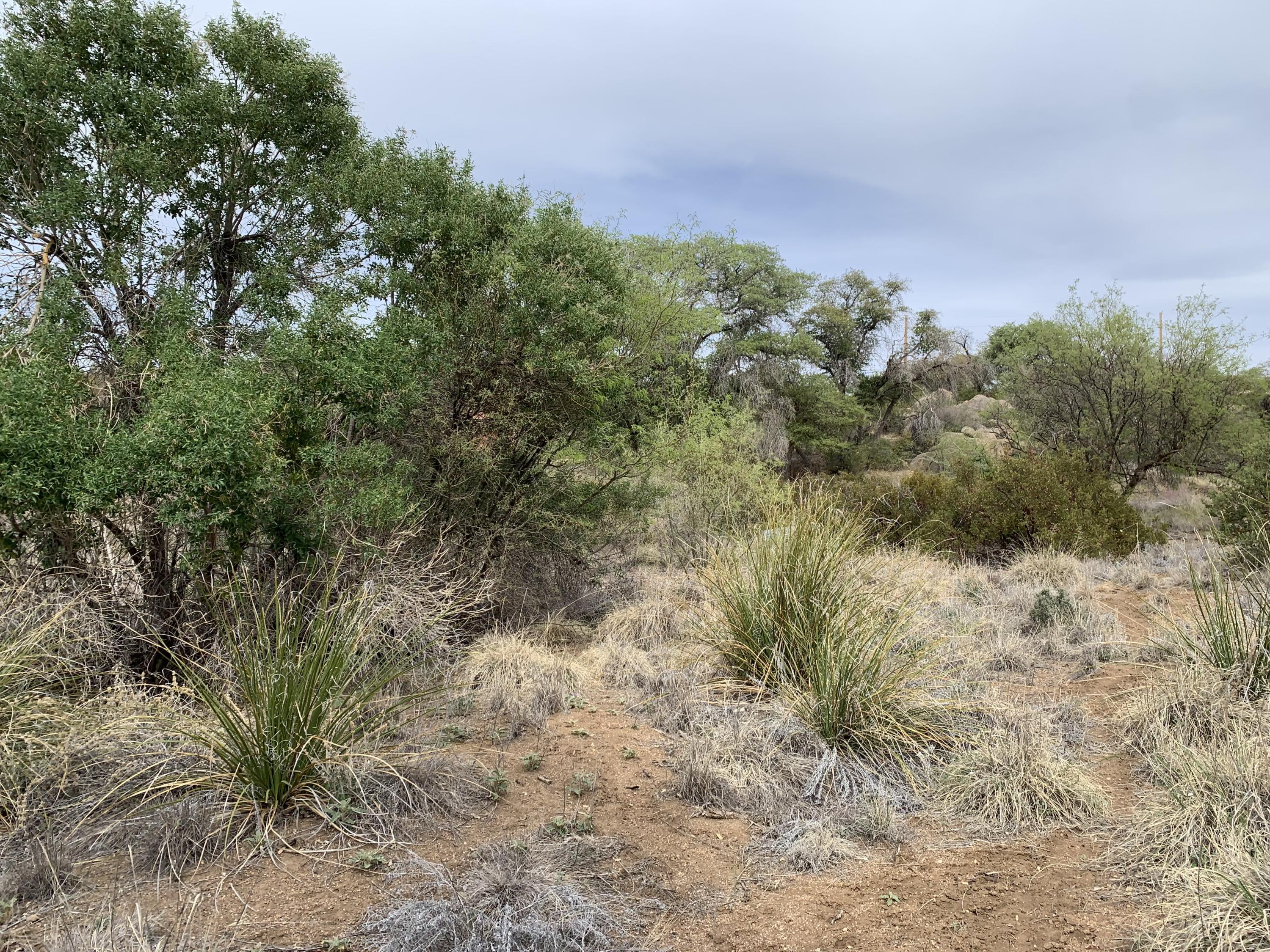 1.3 Acres off Cody Loop Unit: 0