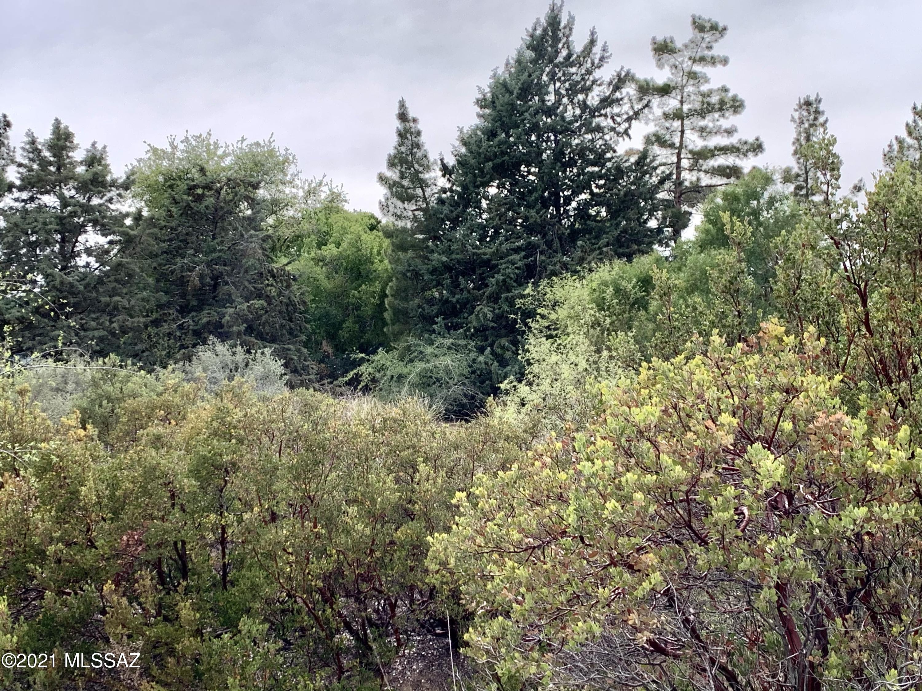 1.3 Acres off Cody Loop Unit: 0