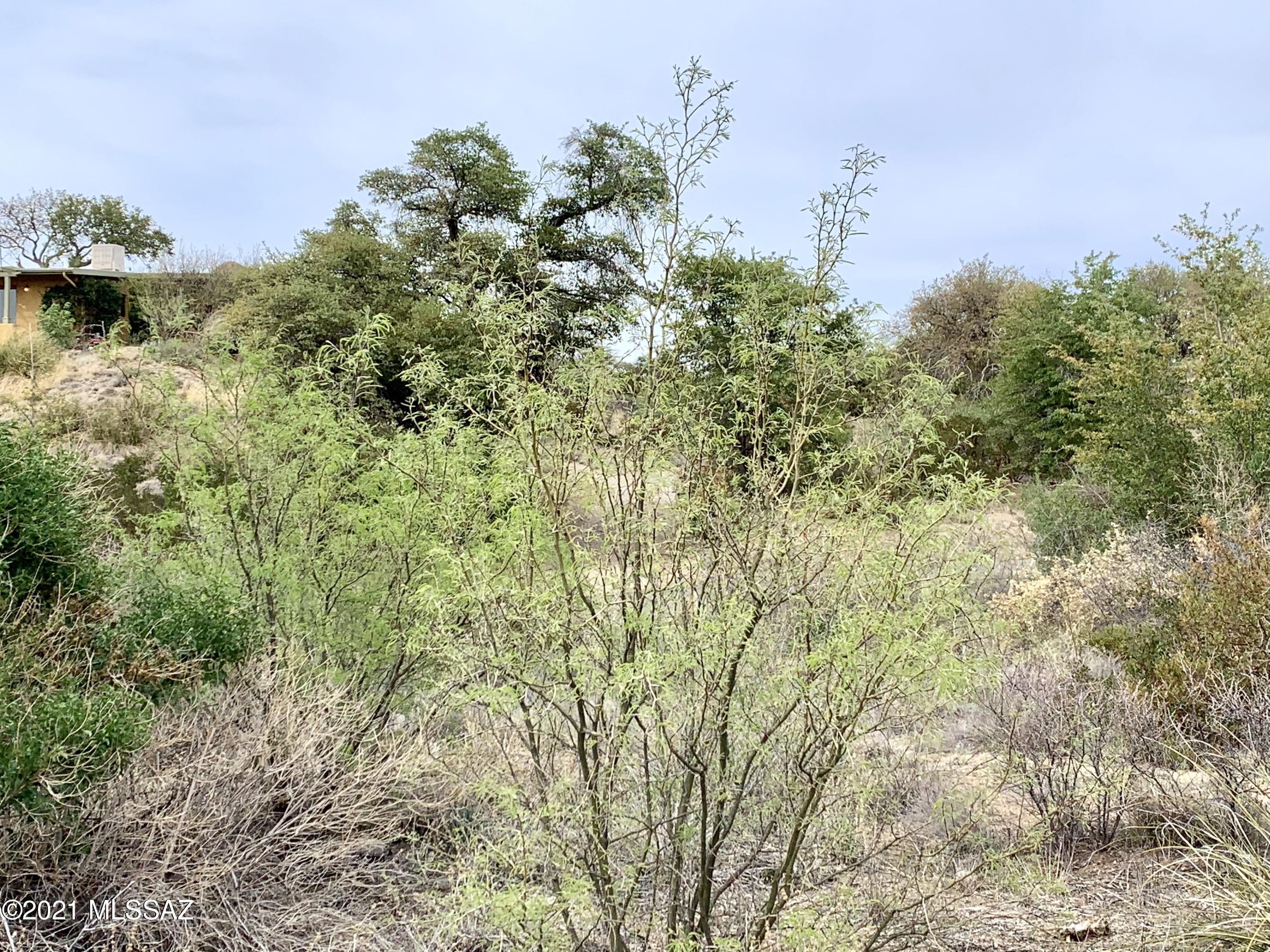 1.3 Acres off Cody Loop Unit: 0